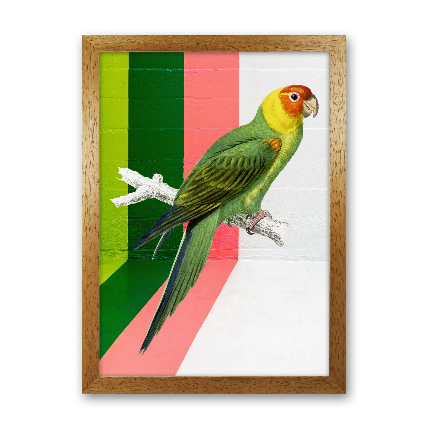 Graffiti Bird Art Print by Seven Trees Design Oak Grain