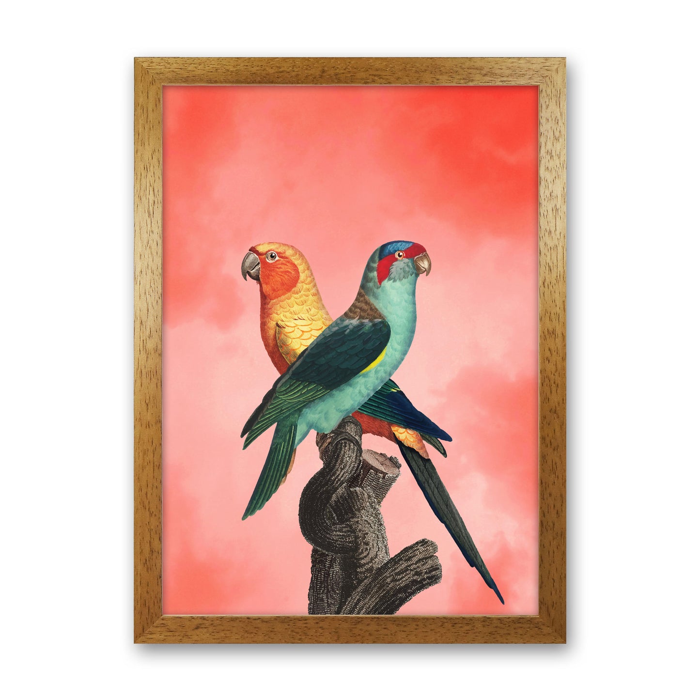 The Birds and the pink sky I Art Print by Seven Trees Design Oak Grain