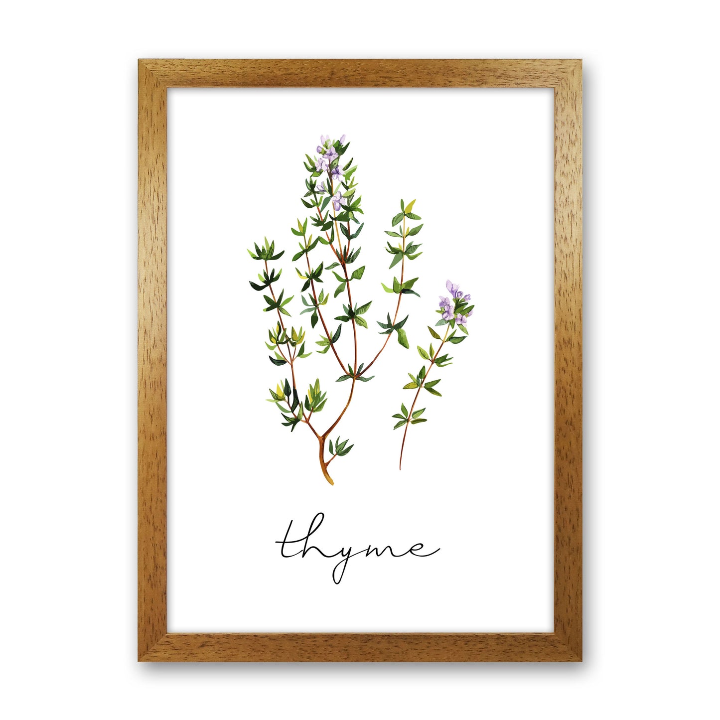 Thyme Art Print by Seven Trees Design Oak Grain