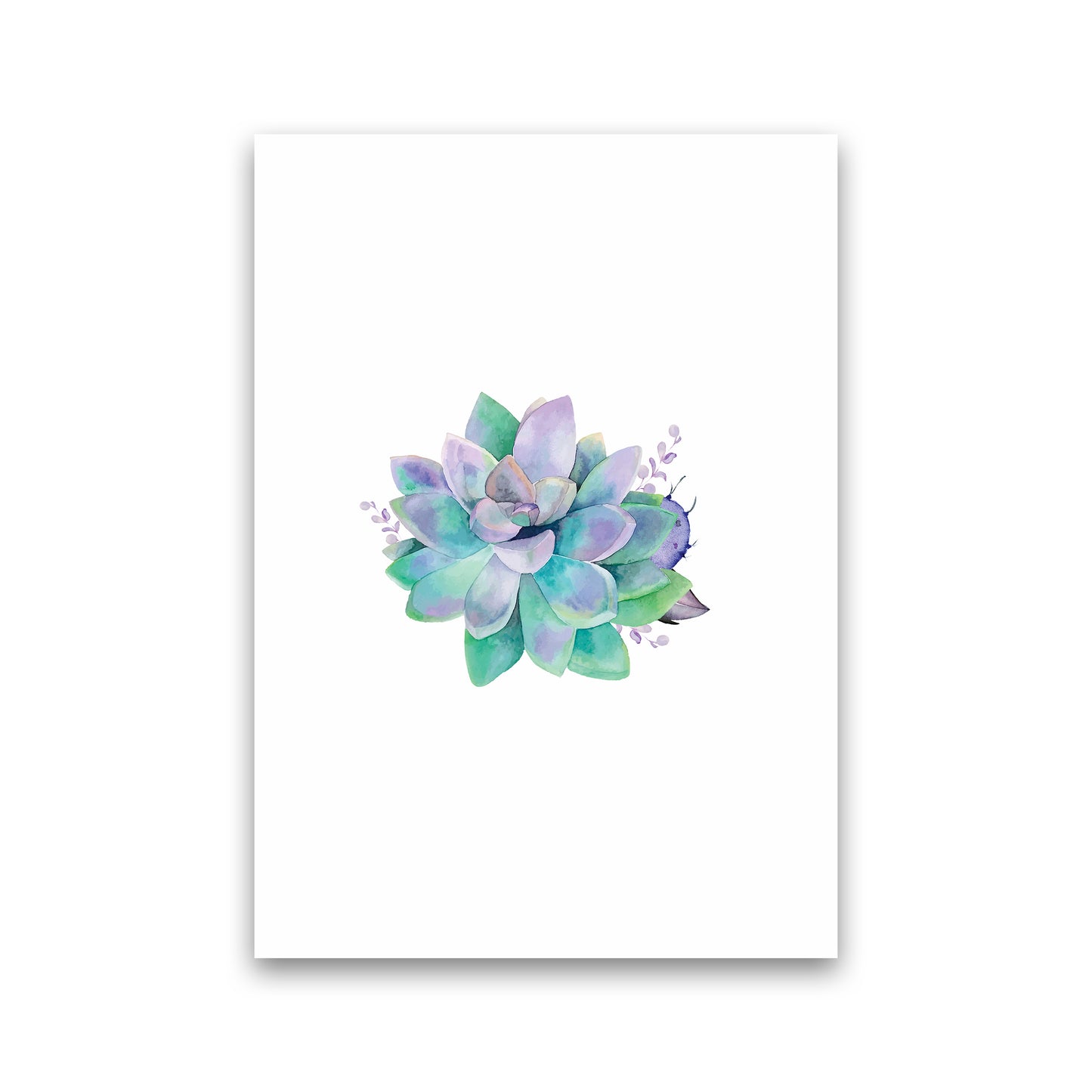 Aqua Succulent Botanical Art Print by Seven Trees Design Print Only