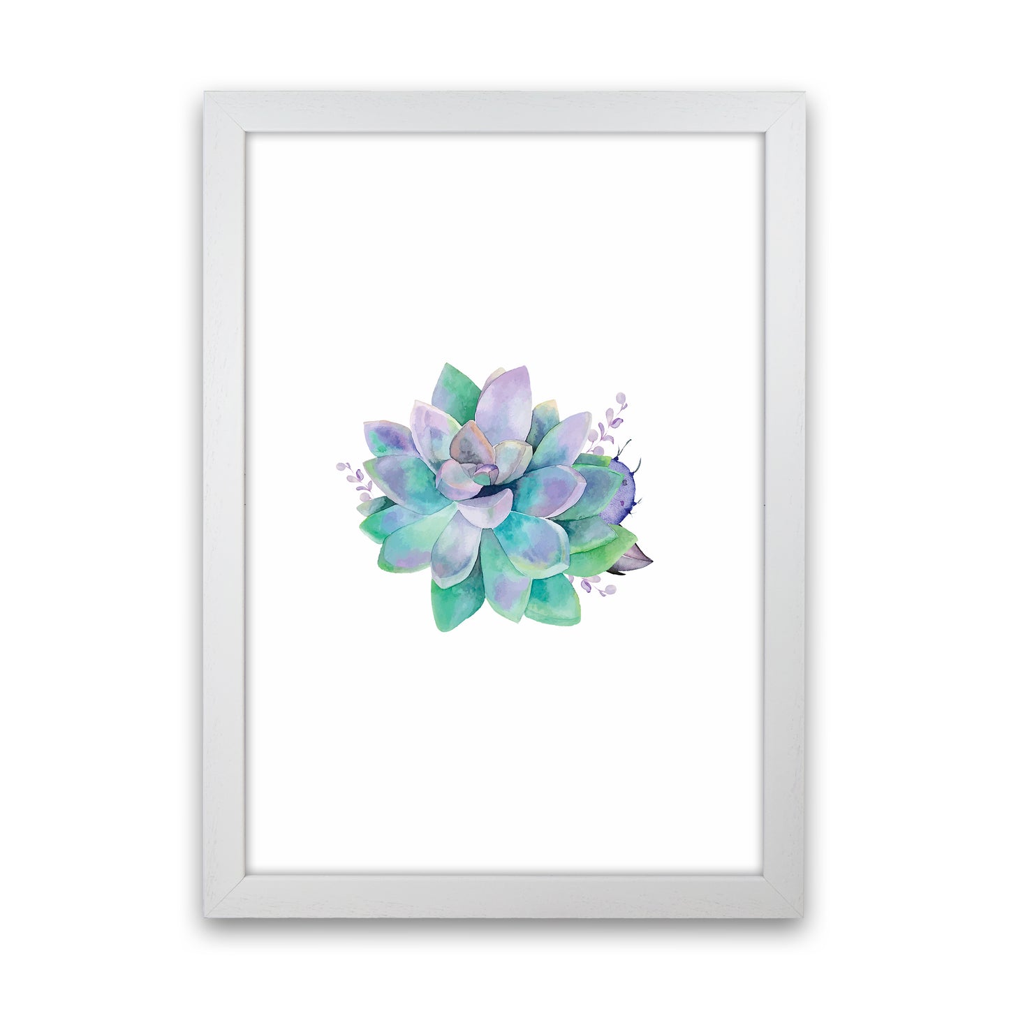 Aqua Succulent Botanical Art Print by Seven Trees Design White Grain