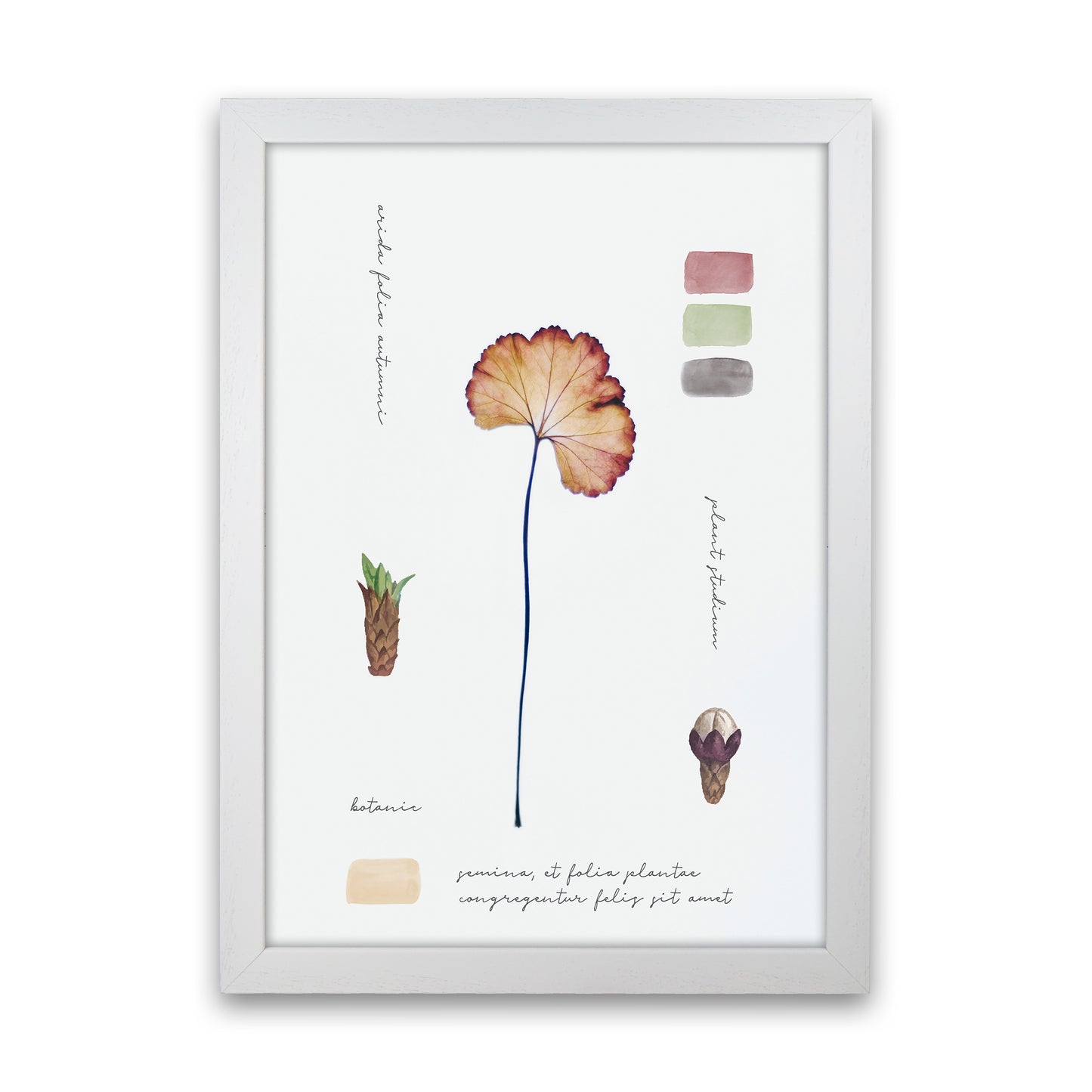 Botanic Notes Art Print by Seven Trees Design White Grain