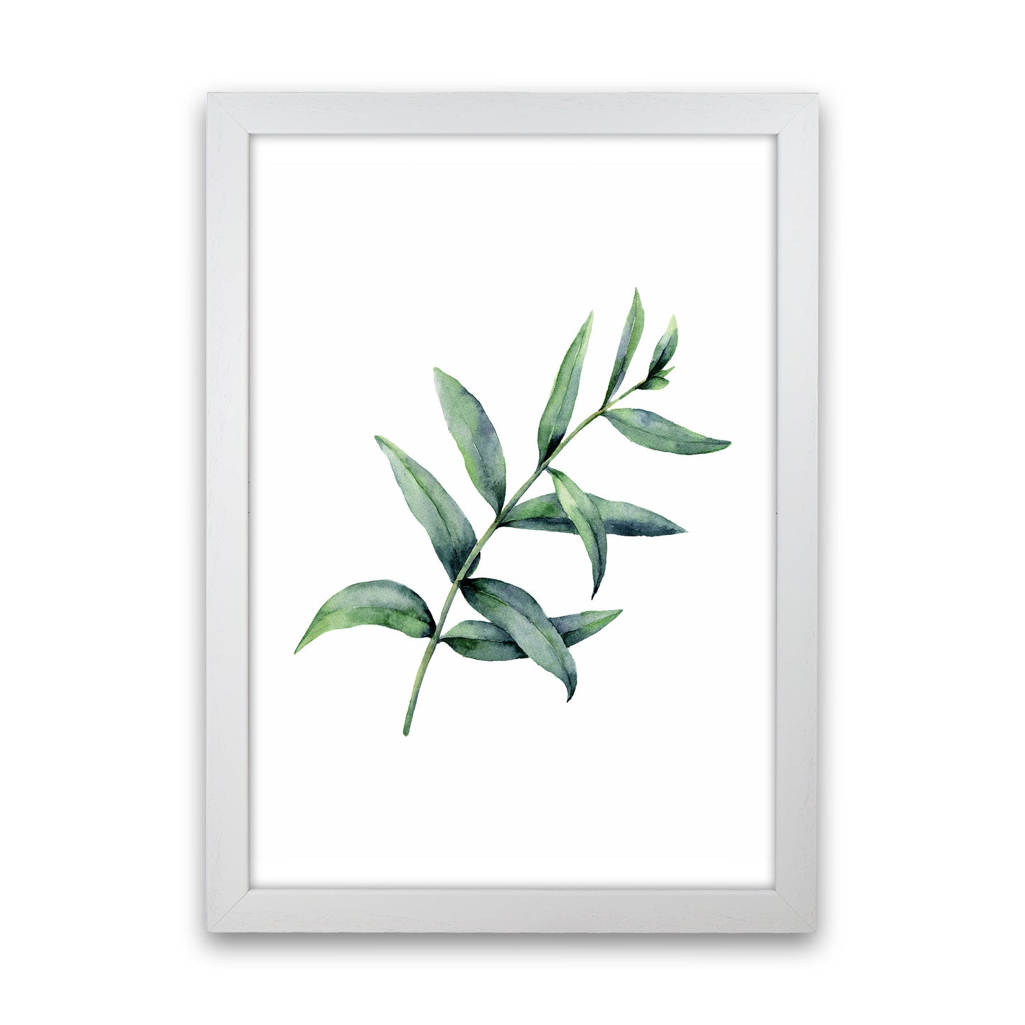 Watercolor Eucalyptus I Art Print by Seven Trees Design White Grain