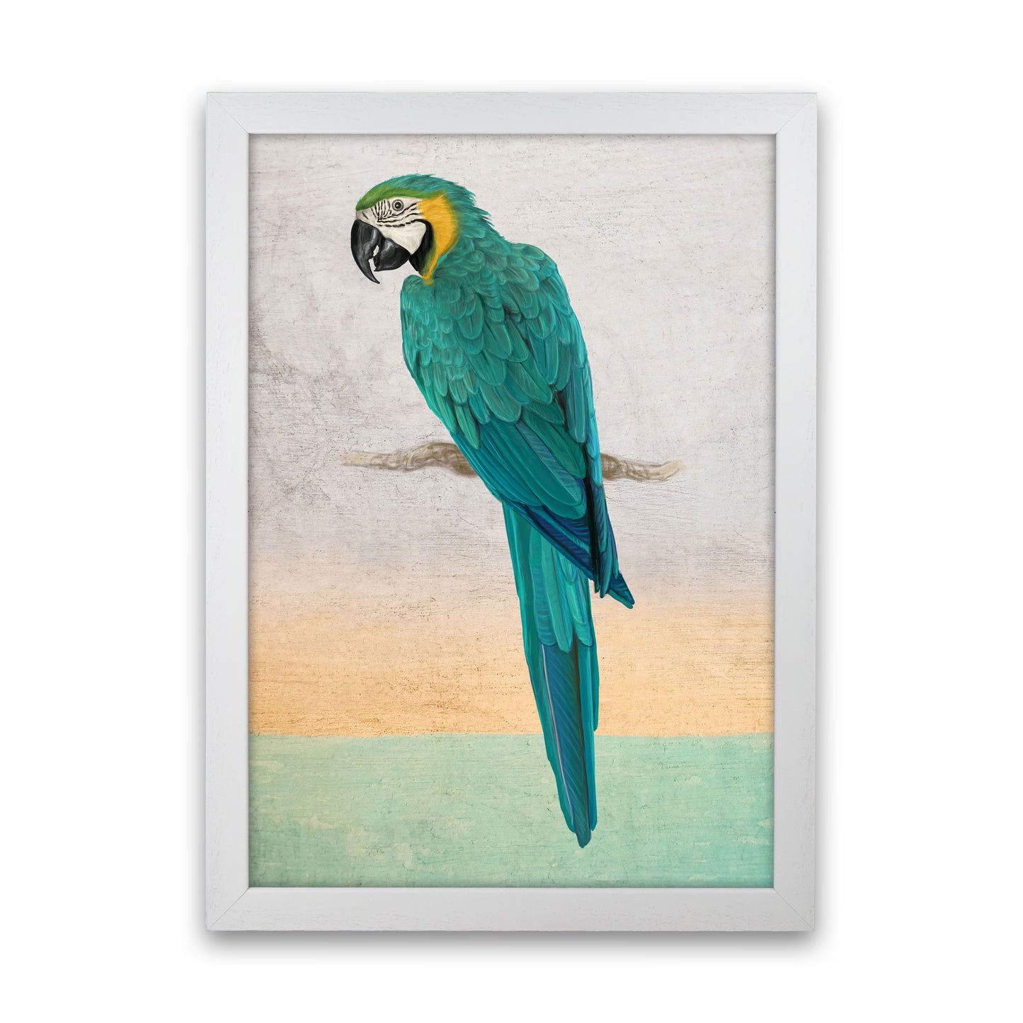 Graffiti Macaw Art Print by Seven Trees Design White Grain
