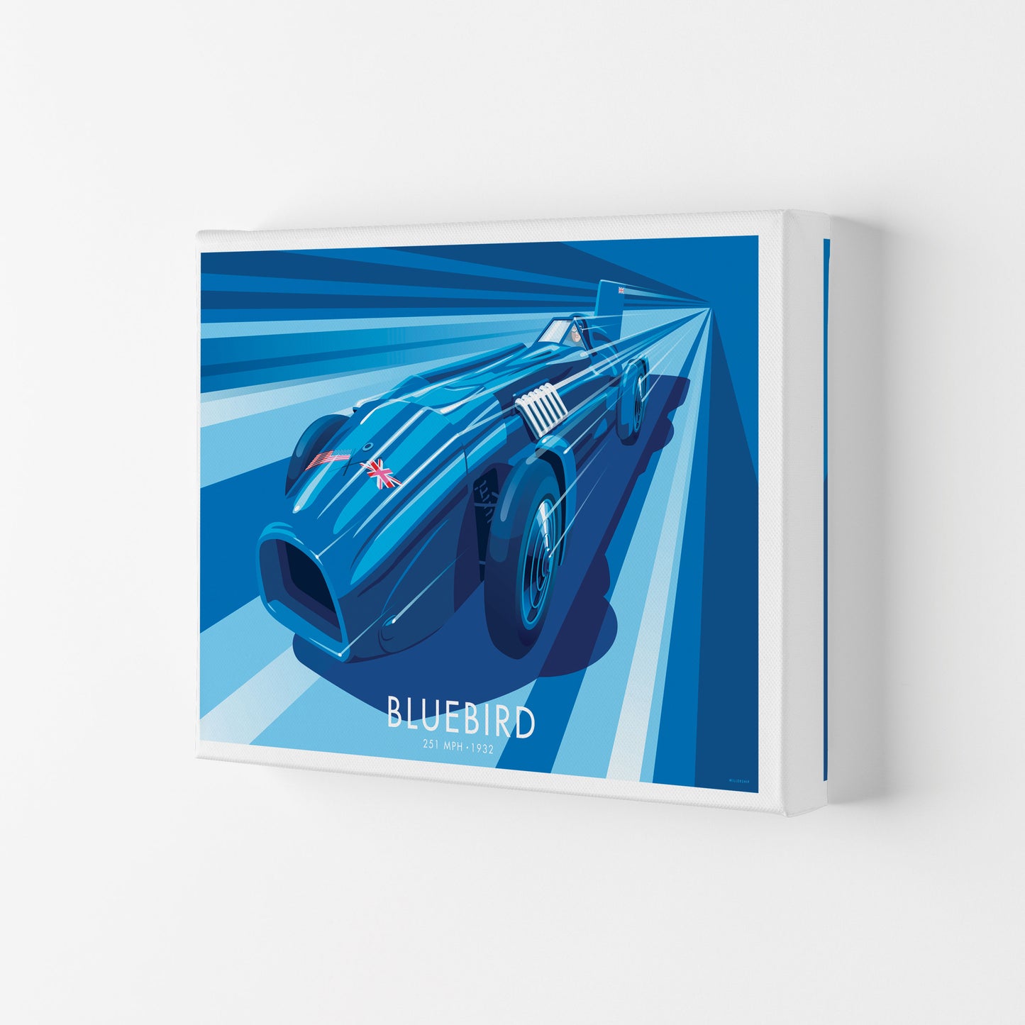 Bluebird Art Print by Stephen Millership, Framed Transport Print Canvas