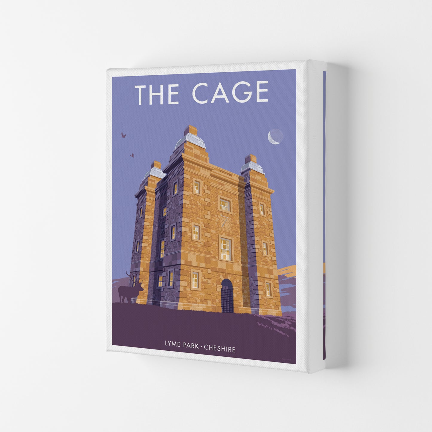 The Cage Art Print by Stephen Millership Canvas