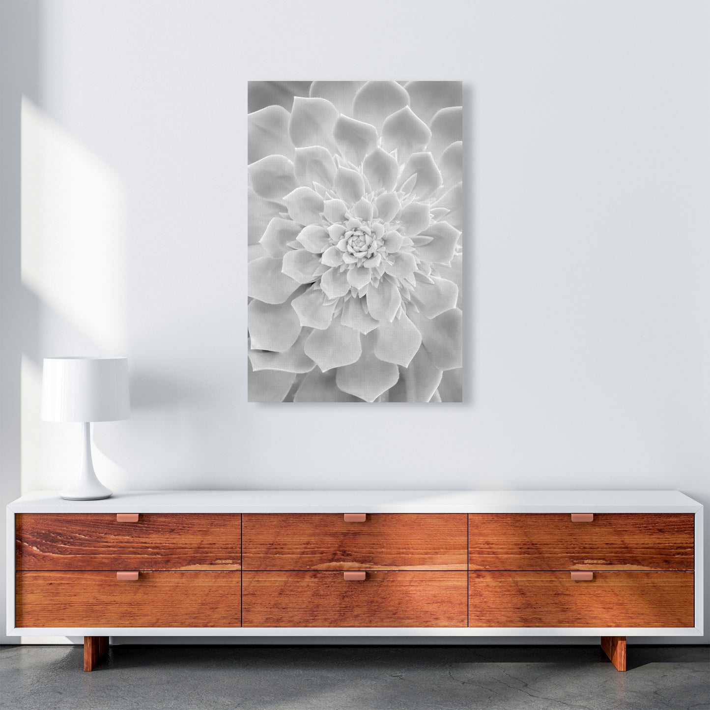 White Succulent Plant Photography Print by Victoria Frost A1 Canvas