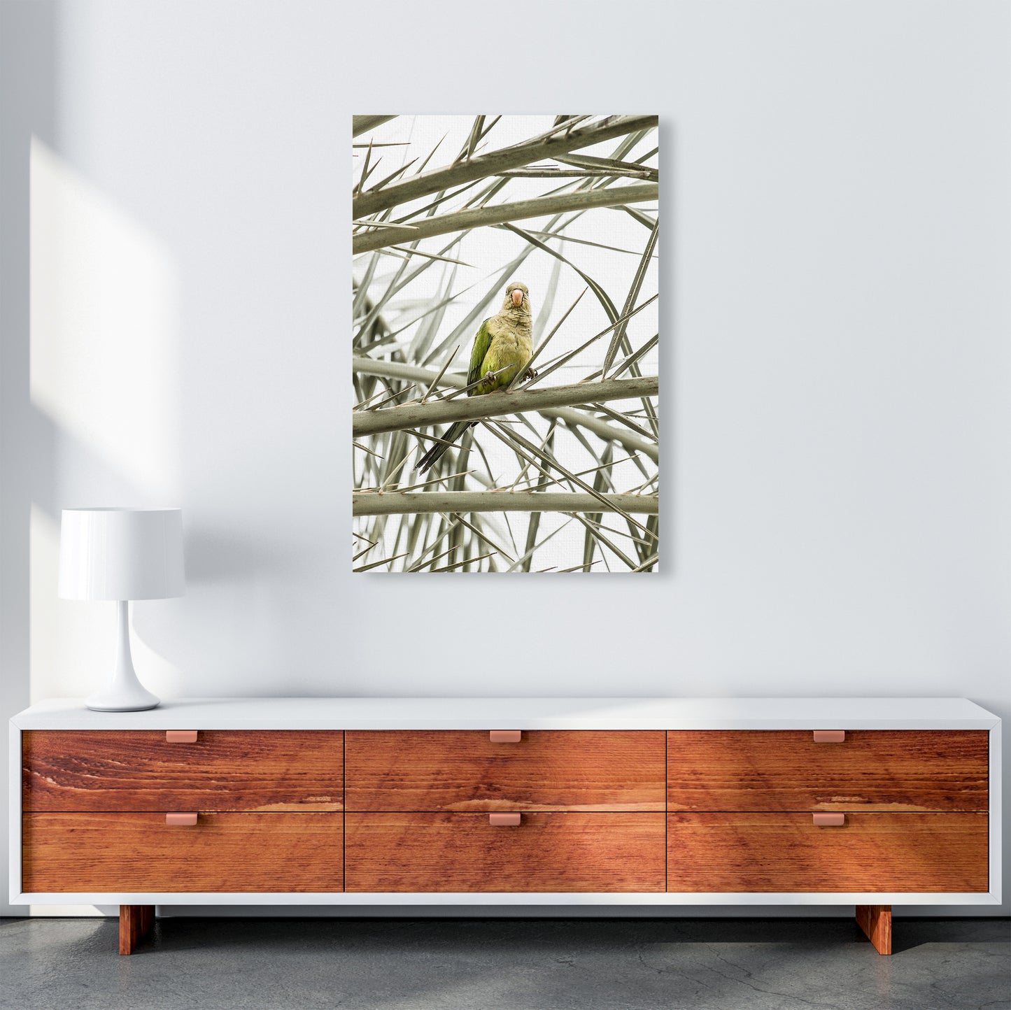 Parrot Photography Print by Victoria Frost A1 Canvas