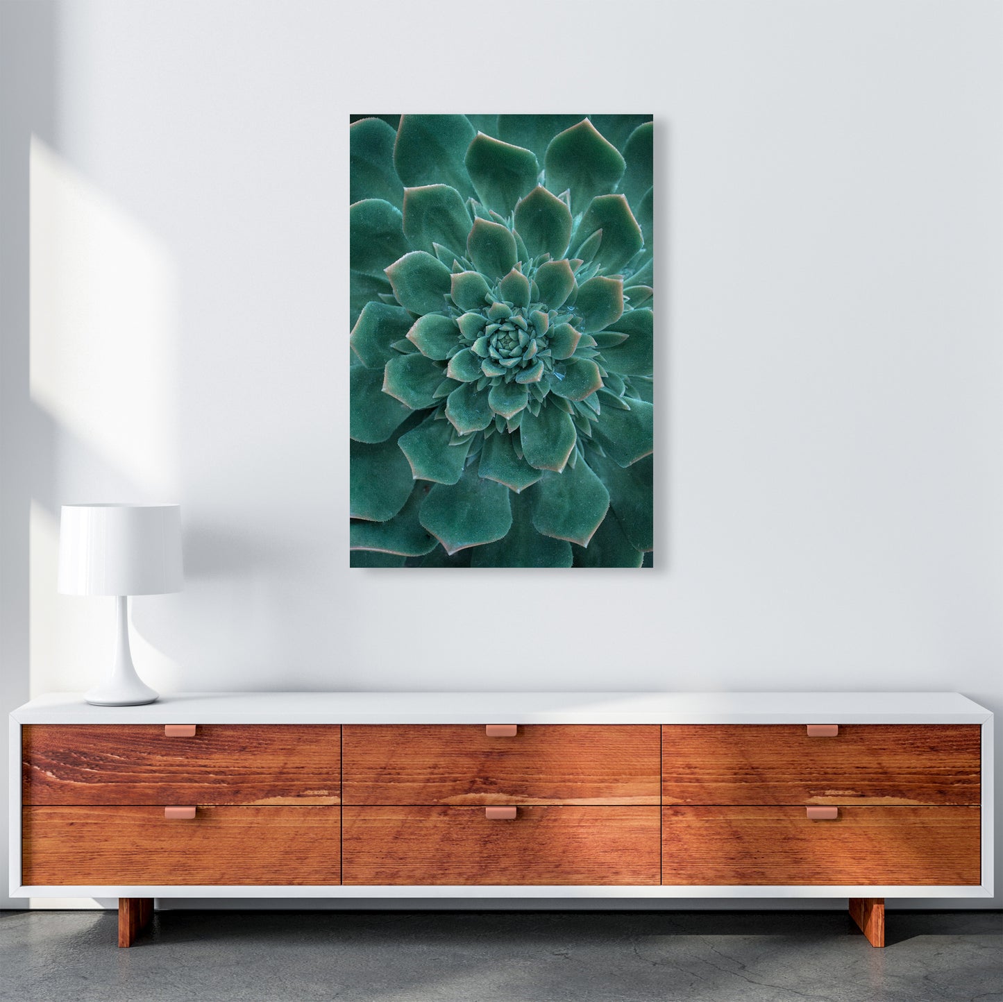 Green Succulent Plant Photography Print by Victoria Frost A1 Canvas