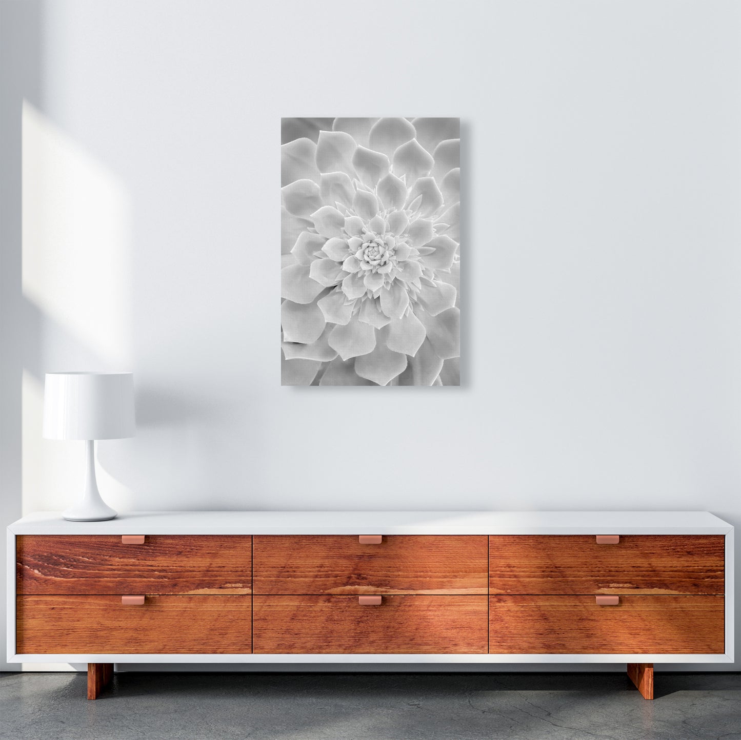 White Succulent Plant Photography Print by Victoria Frost A2 Canvas