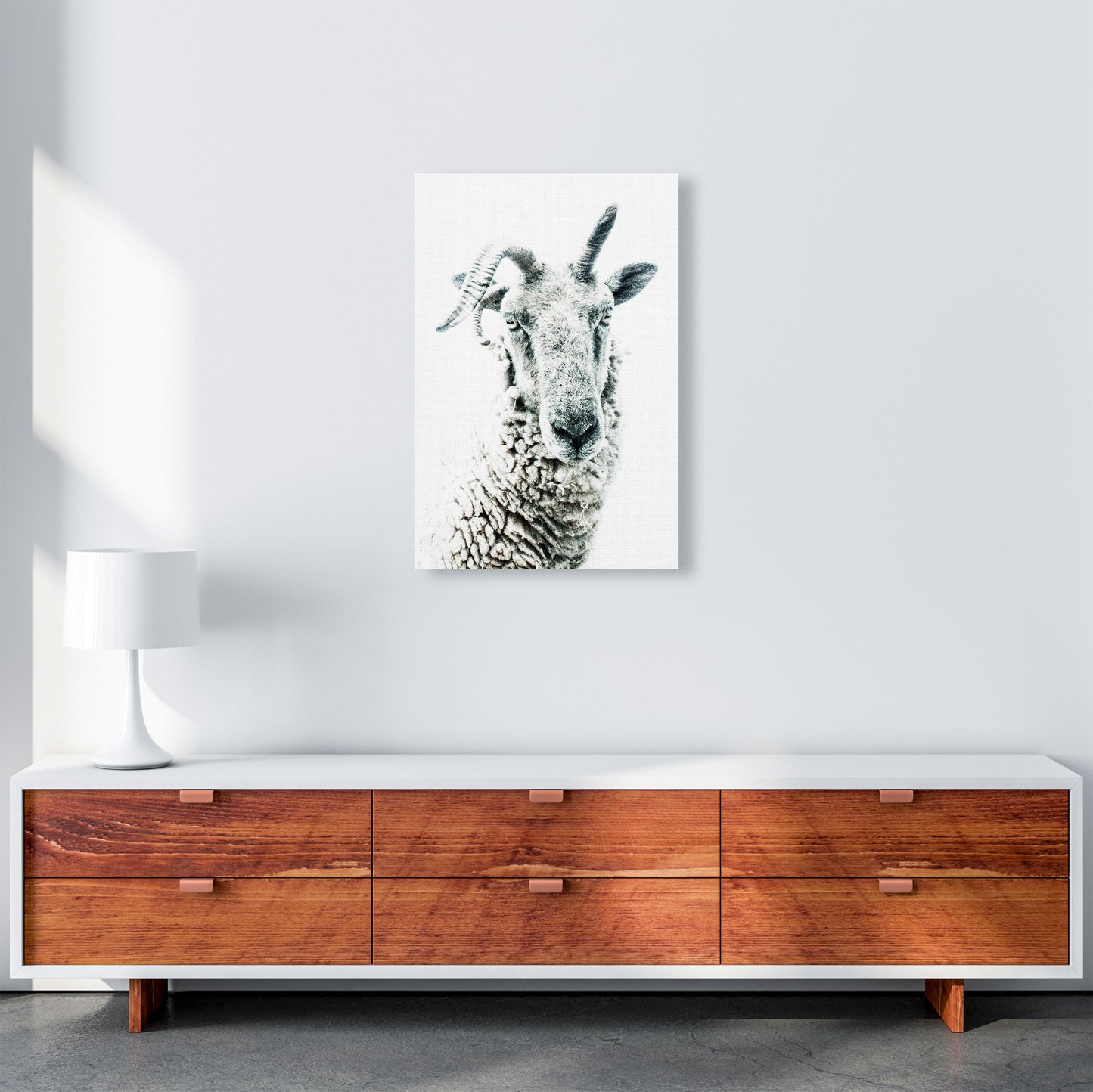 Sheep Photography Print by Victoria Frost A2 Canvas