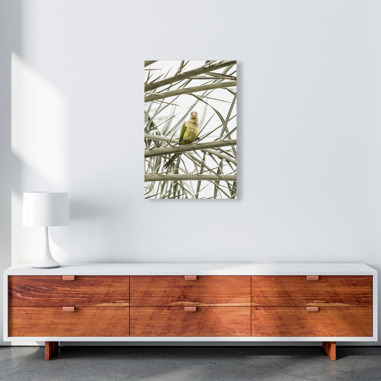 Parrot Photography Print by Victoria Frost A2 Canvas