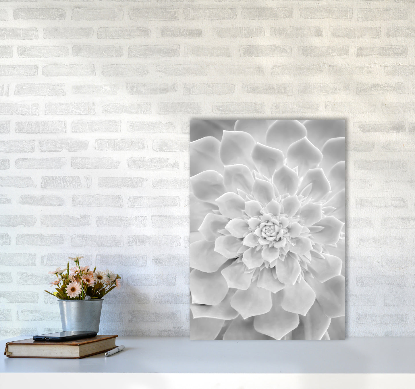 White Succulent Plant Photography Print by Victoria Frost A2 Black Frame