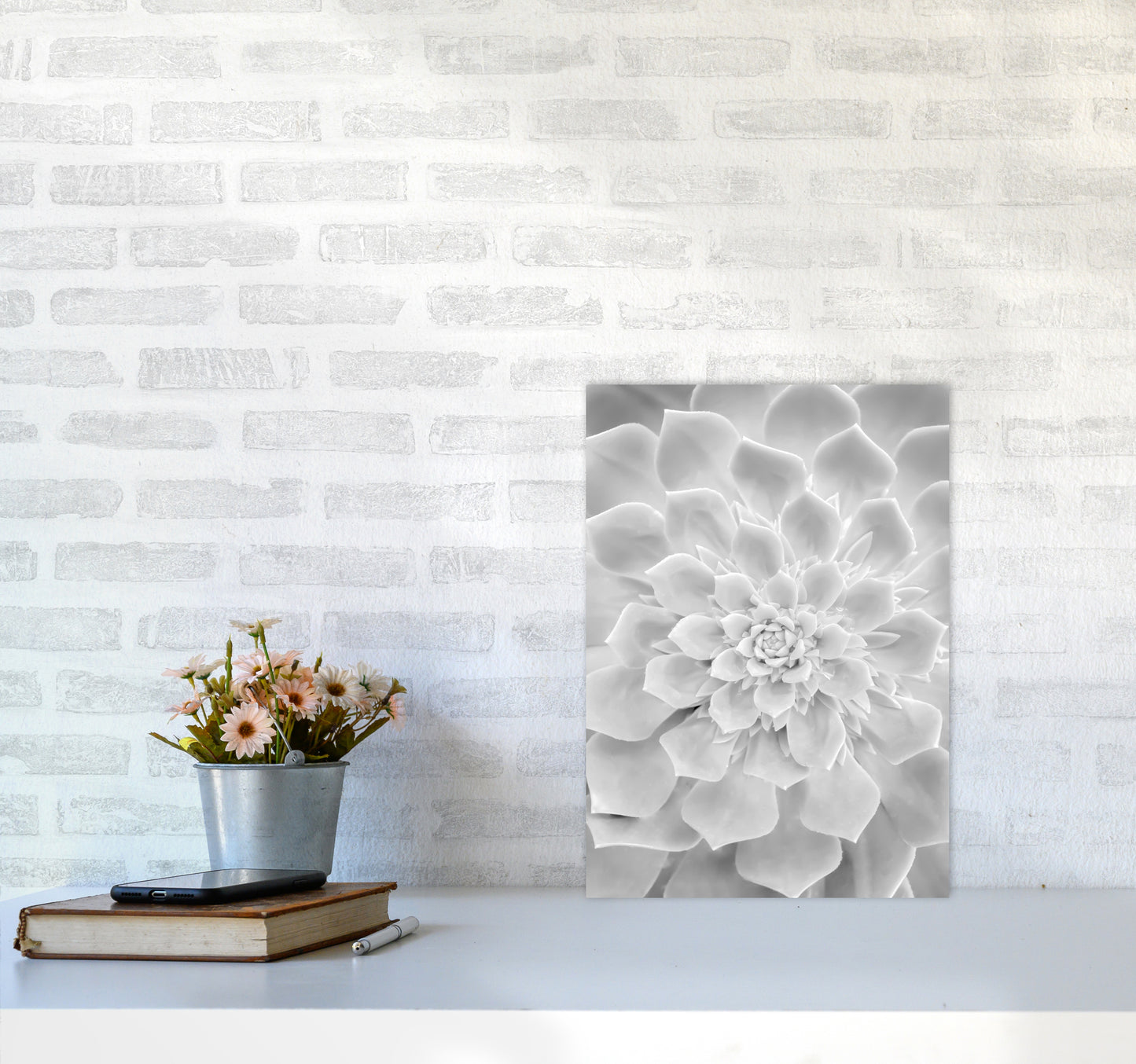 White Succulent Plant Photography Print by Victoria Frost A3 Black Frame