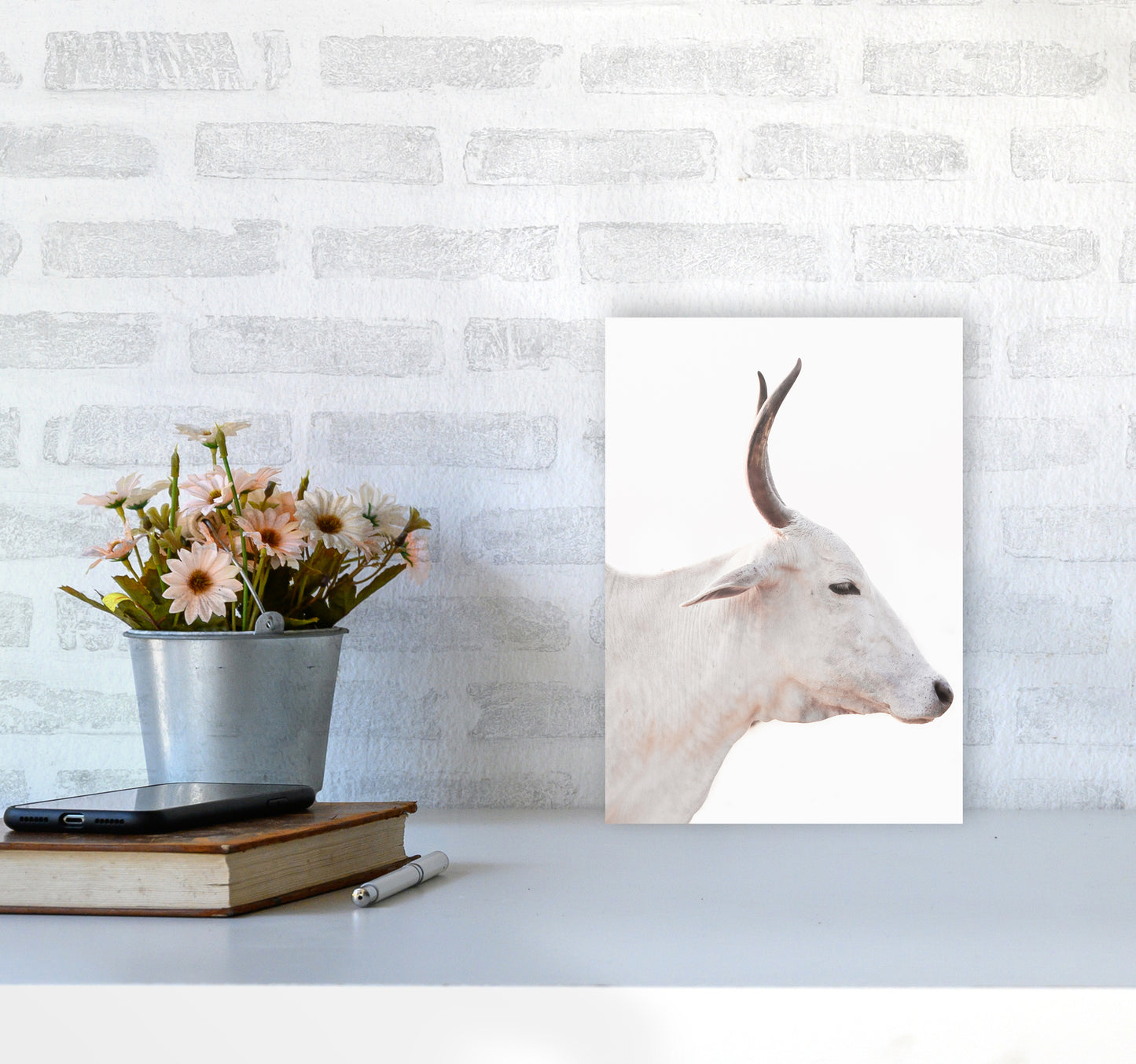 White Cow II Photography Print by Victoria Frost A4 Black Frame