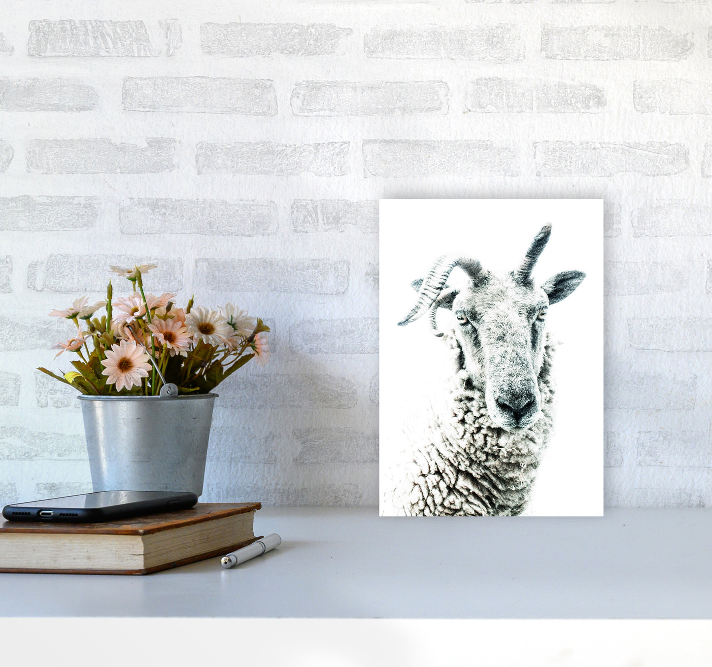 Sheep Photography Print by Victoria Frost A4 Black Frame