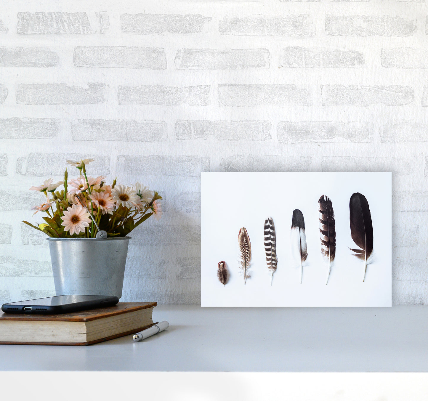 Feathers II Photography Print by Victoria Frost A4 Black Frame