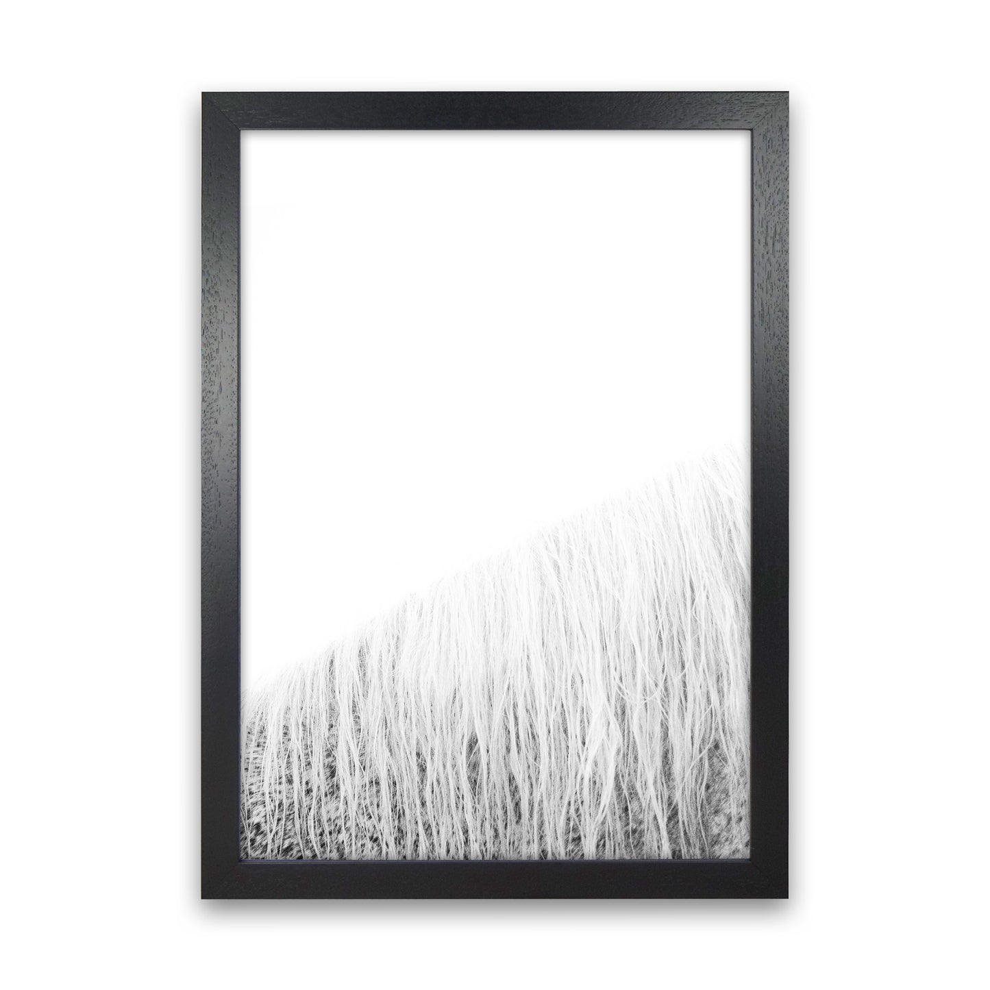 White Horse I Photography Print by Victoria Frost Black Grain