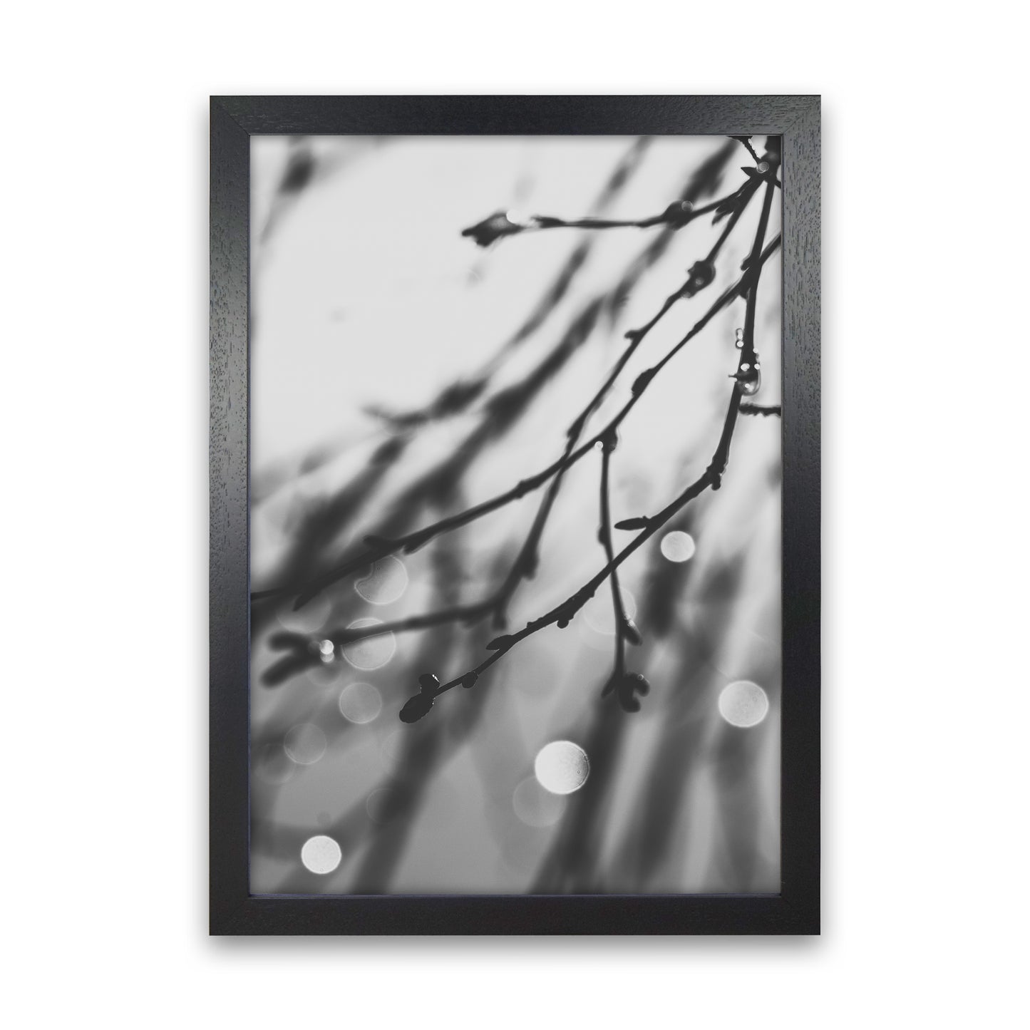Twilight II Photography Print by Victoria Frost Black Grain