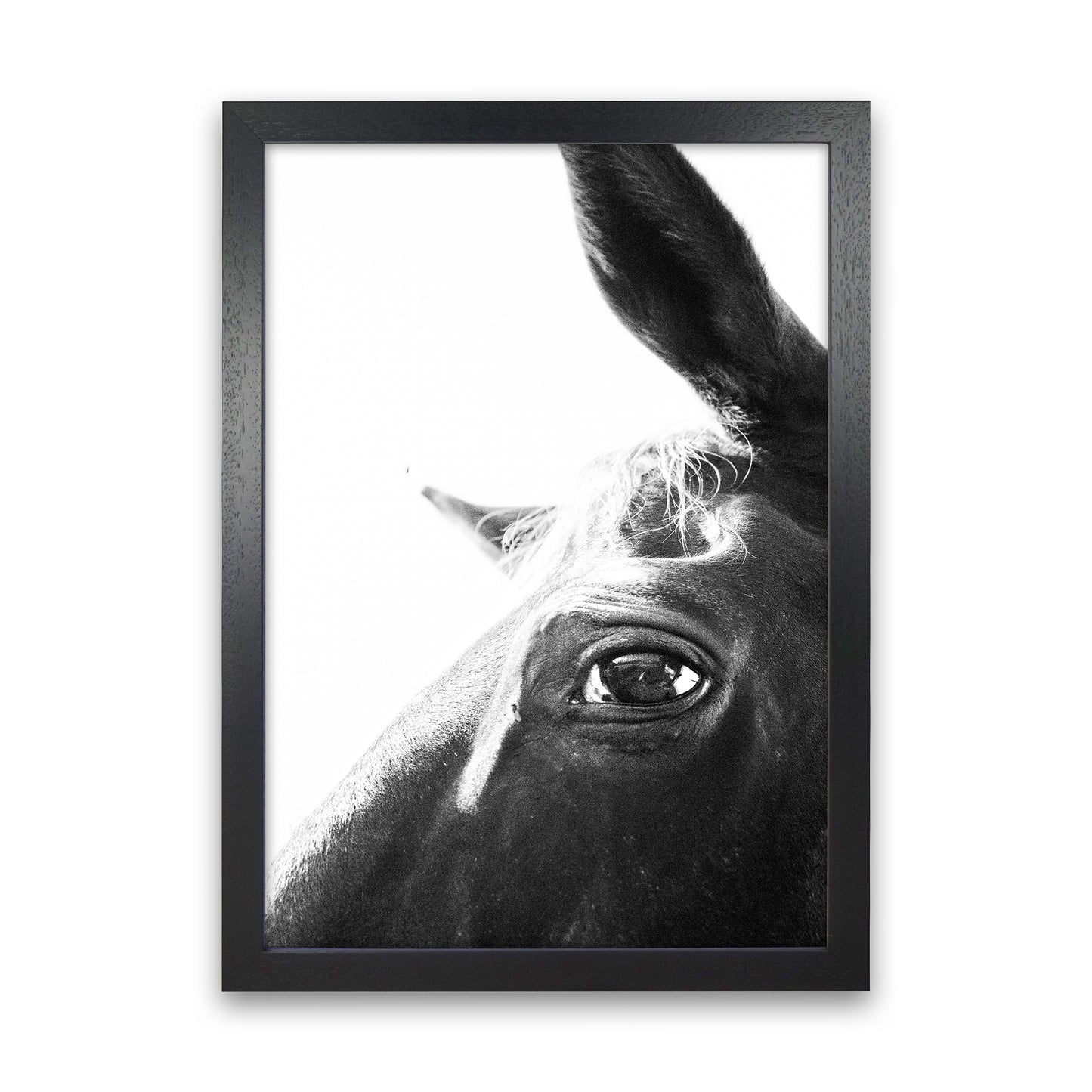 Eye of the beholder Photography Print by Victoria Frost Black Grain