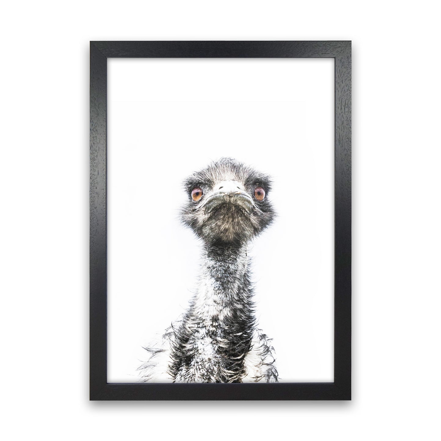 E.M.U Photography Print by Victoria Frost Black Grain