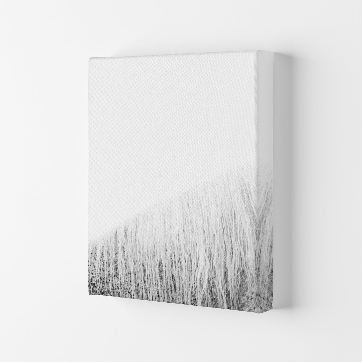 White Horse I Photography Print by Victoria Frost Canvas