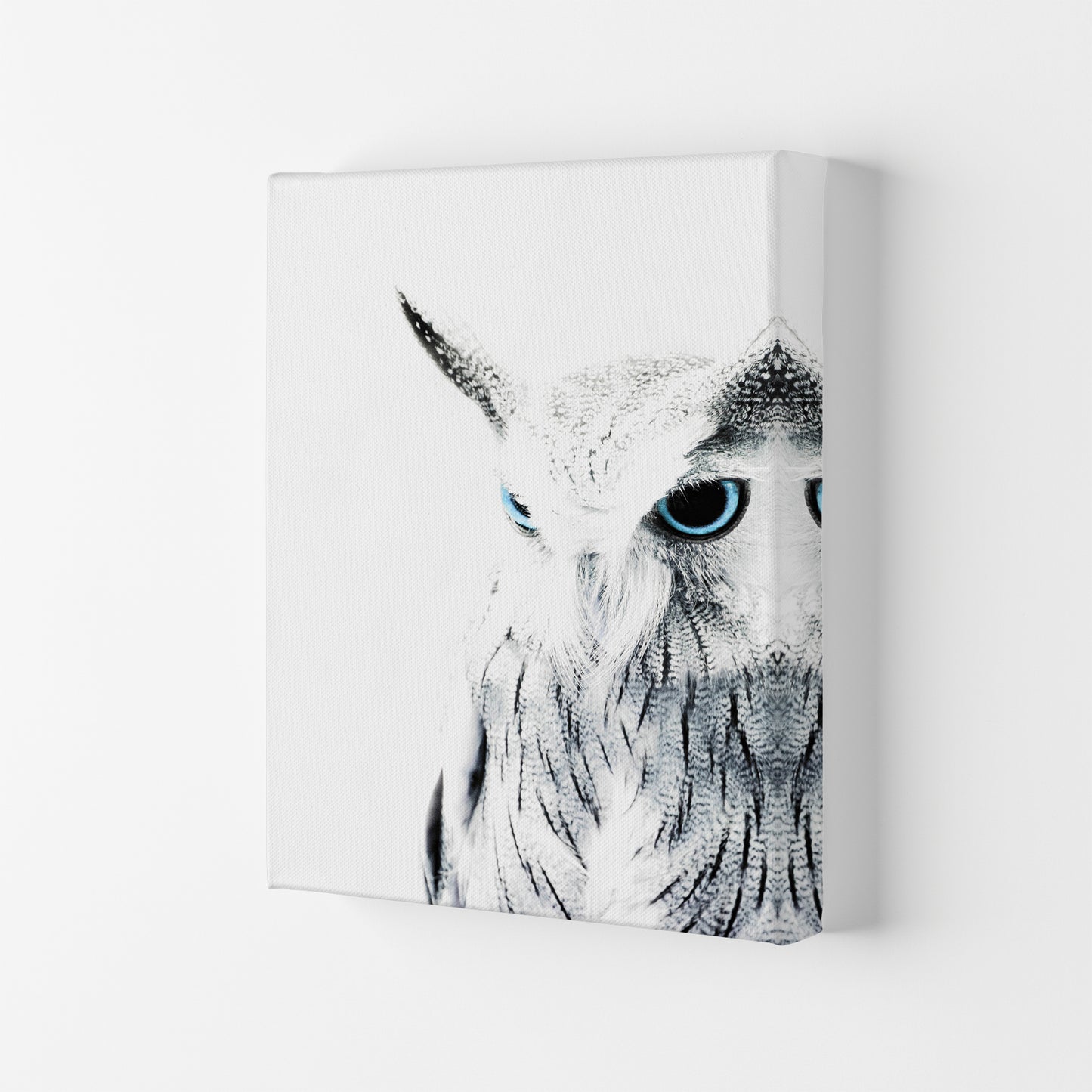 Owl I Photography Print by Victoria Frost Canvas