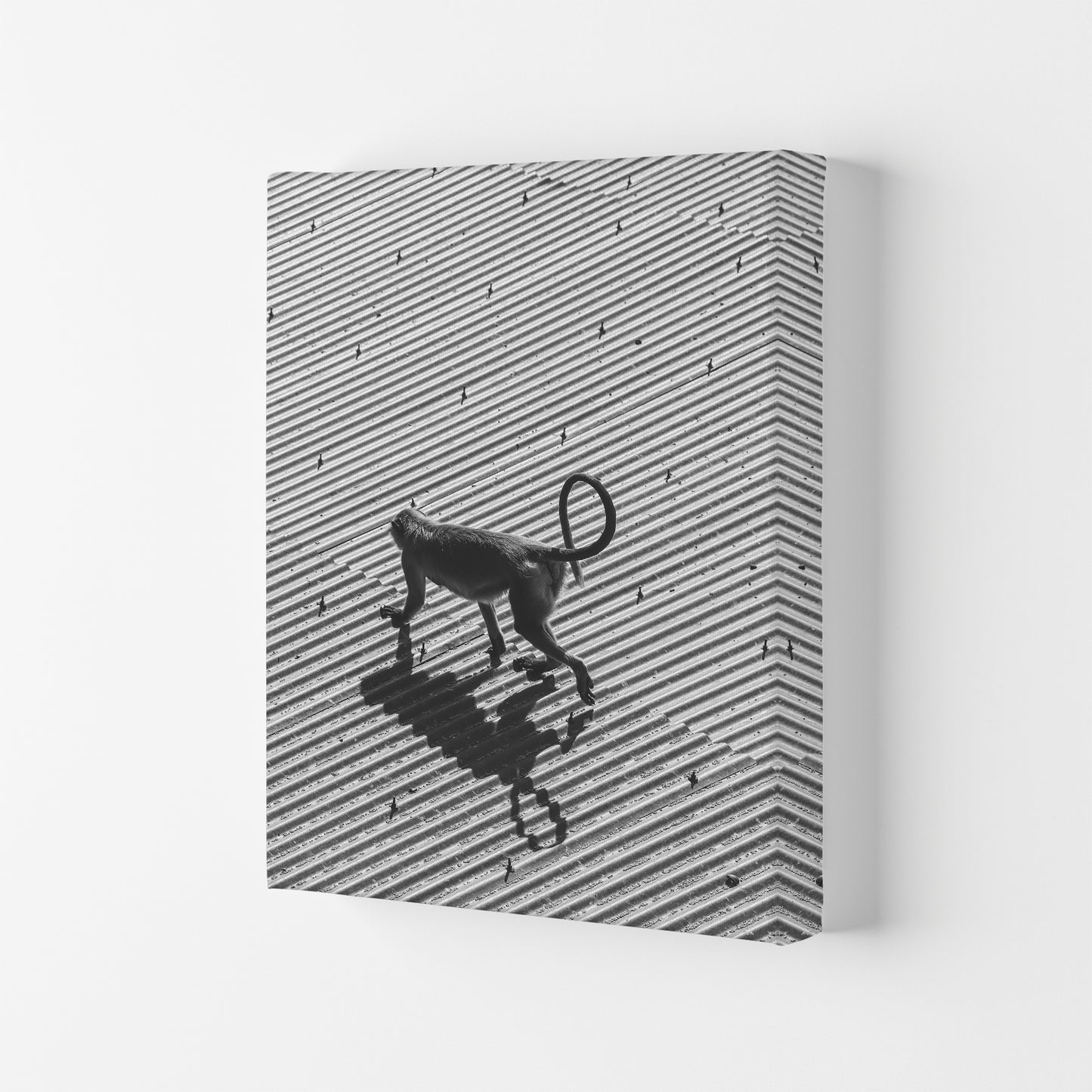 Monkey Buisness Photography Print by Victoria Frost Canvas