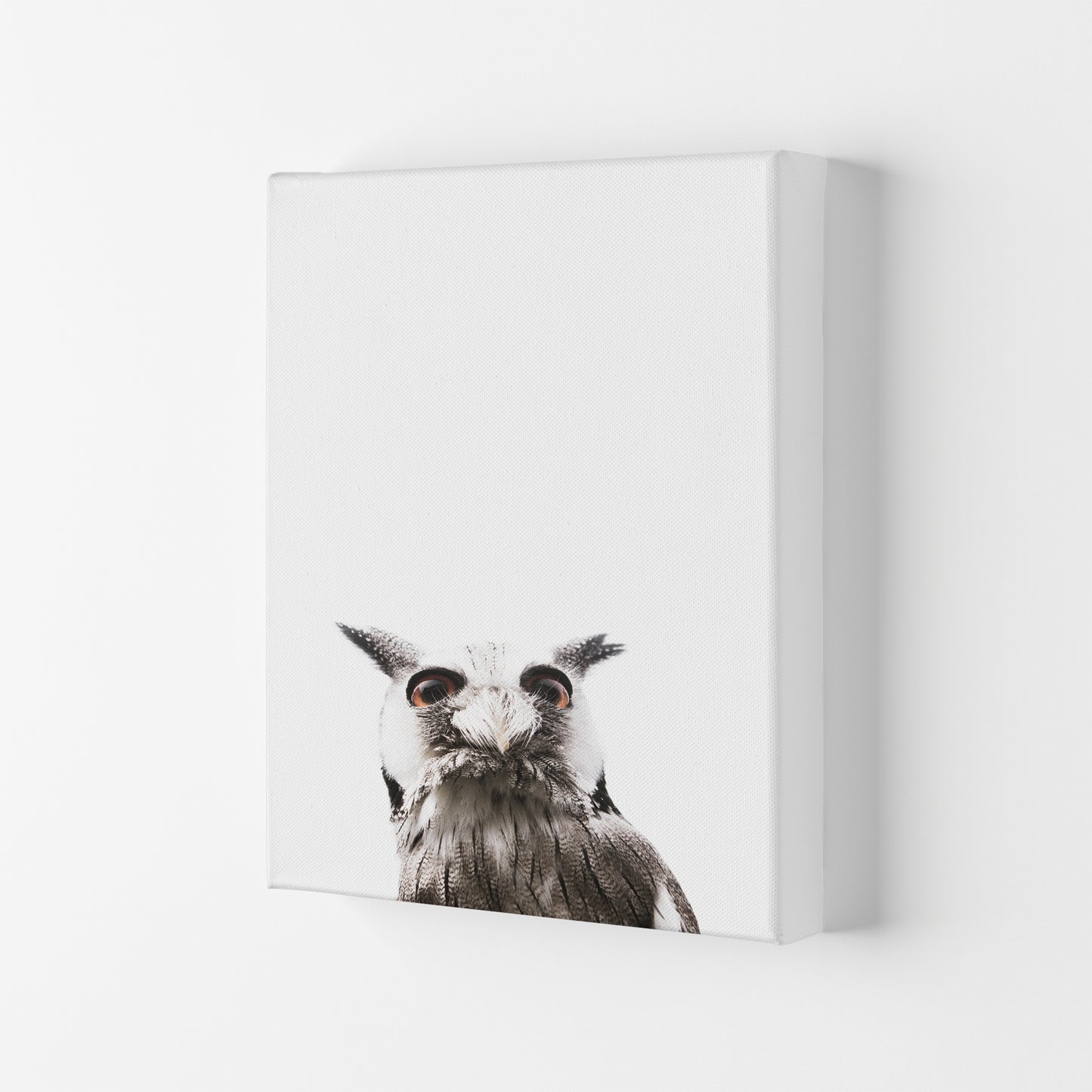 Lil Owl Photography Print by Victoria Frost Canvas