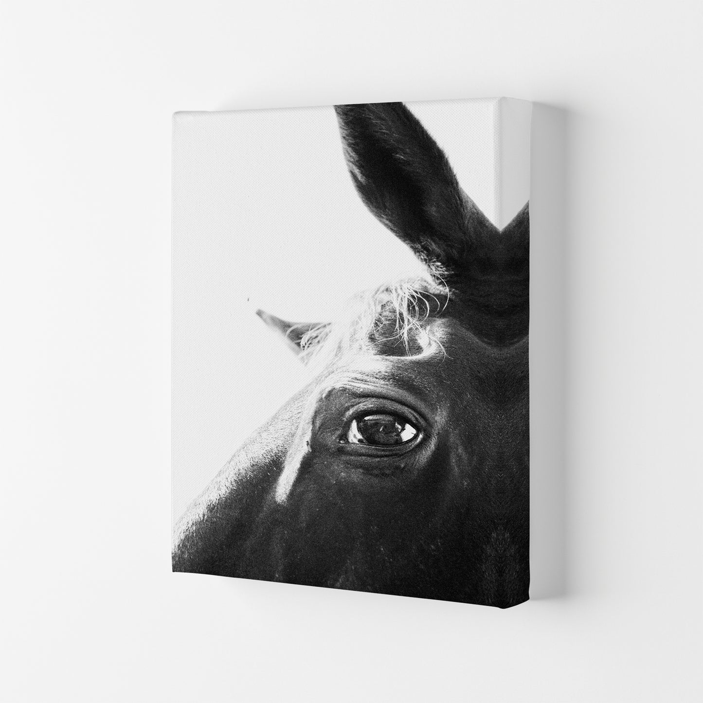 Eye of the beholder Photography Print by Victoria Frost Canvas