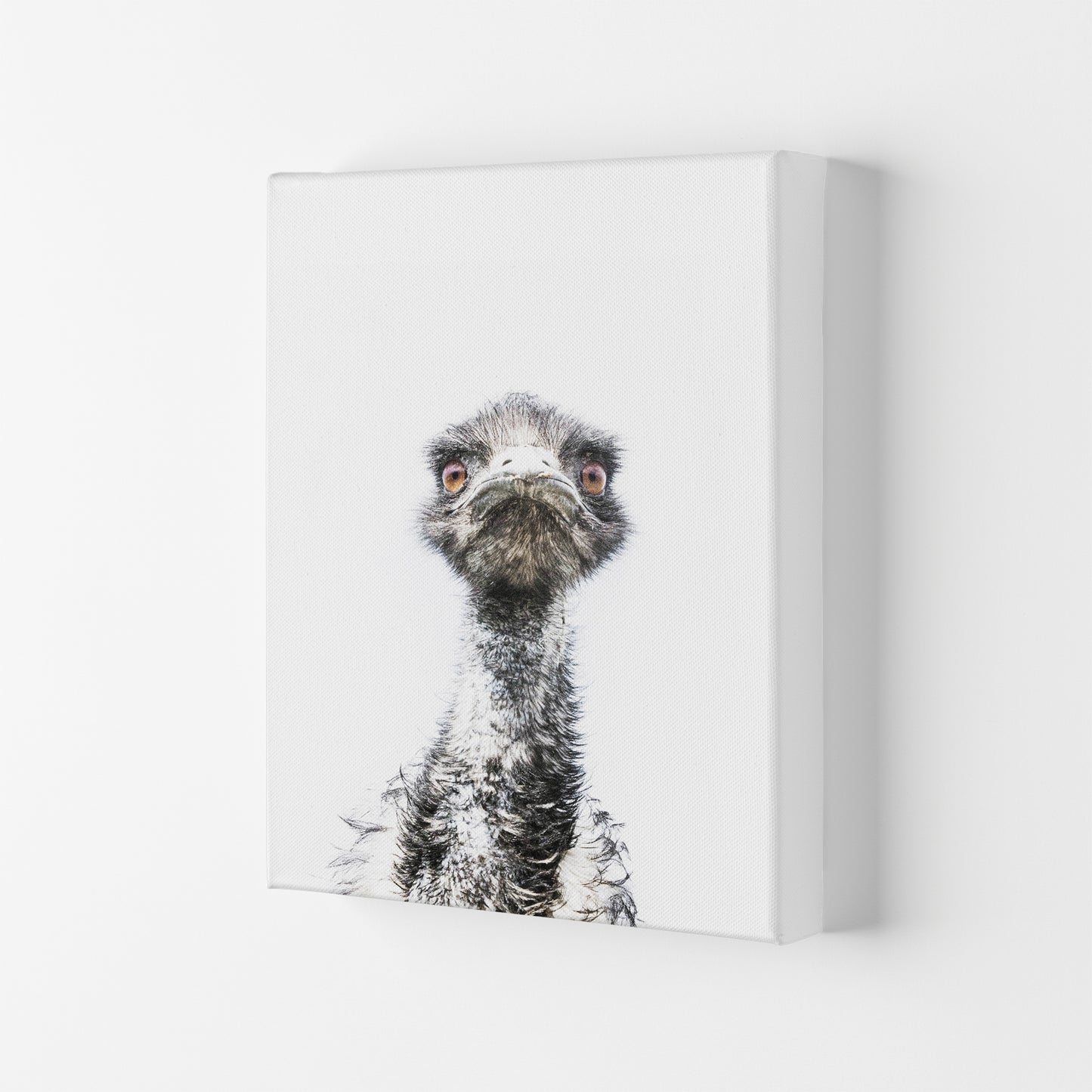 E.M.U Photography Print by Victoria Frost Canvas
