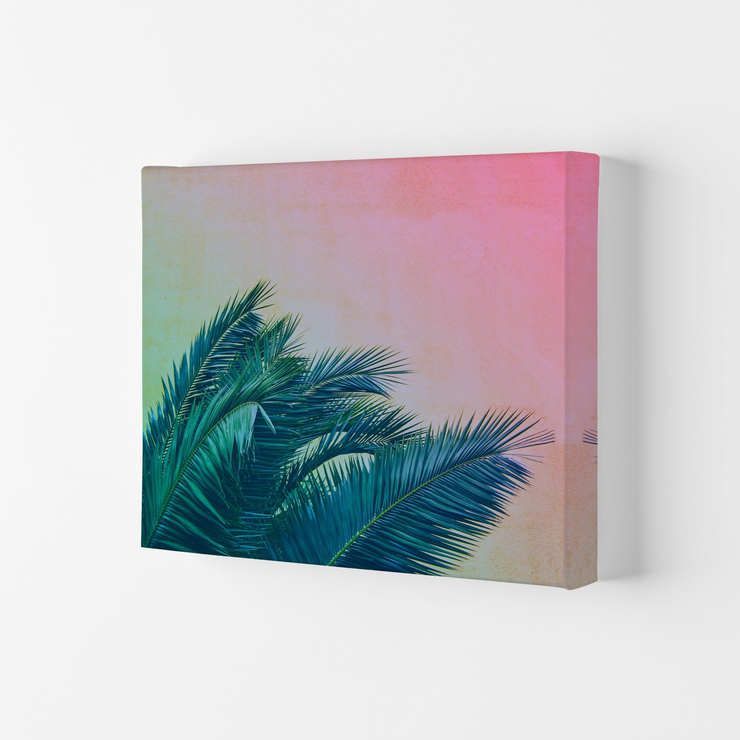 Botanical Palms Photography Print by Victoria Frost Canvas