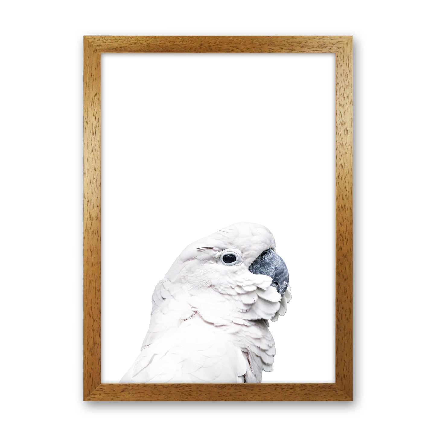 White Cockatoo Photography Print by Victoria Frost Oak Grain