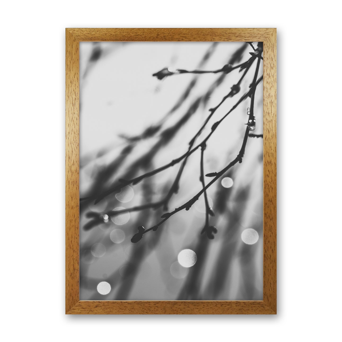 Twilight II Photography Print by Victoria Frost Oak Grain