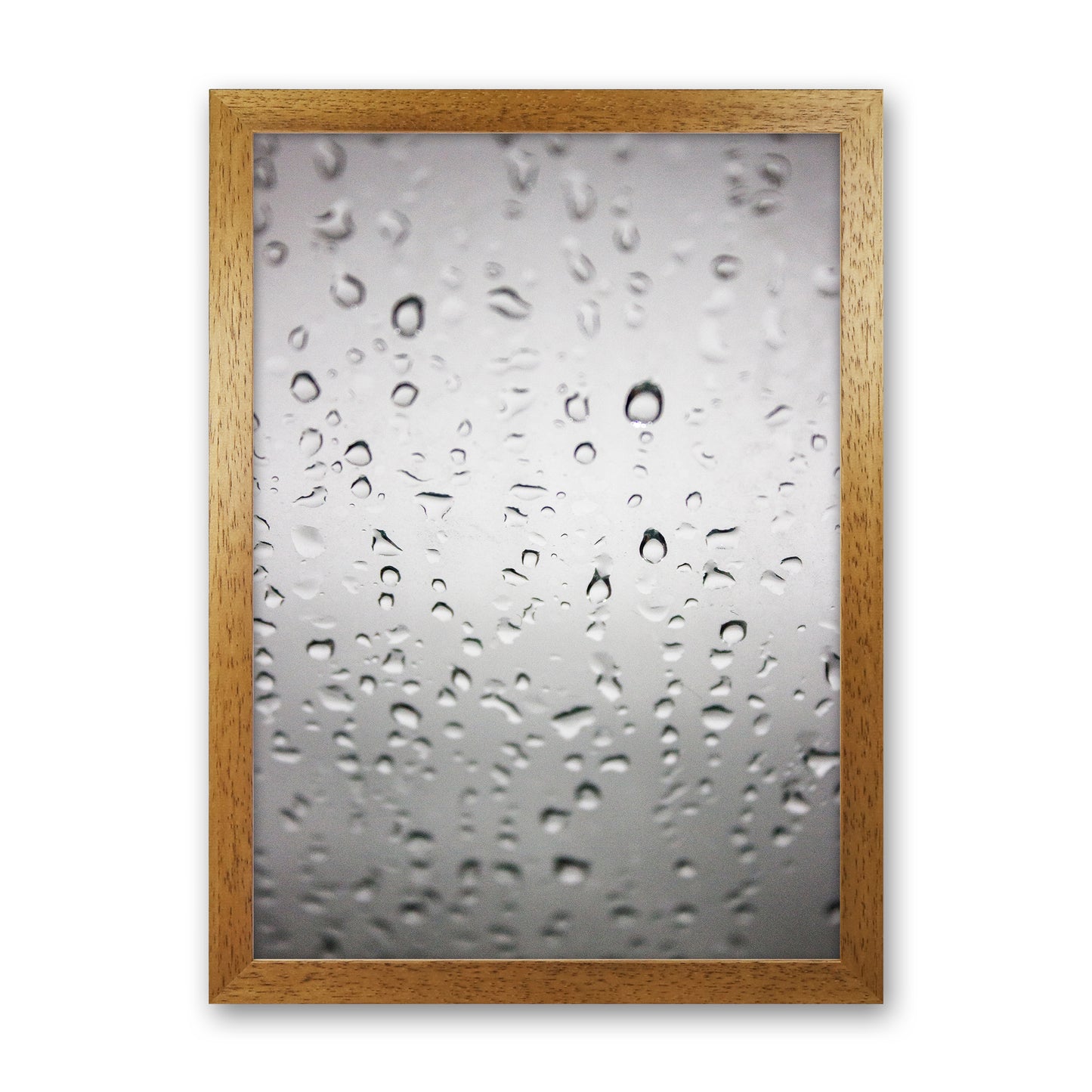 Touch of Rain Photography Print by Victoria Frost Oak Grain