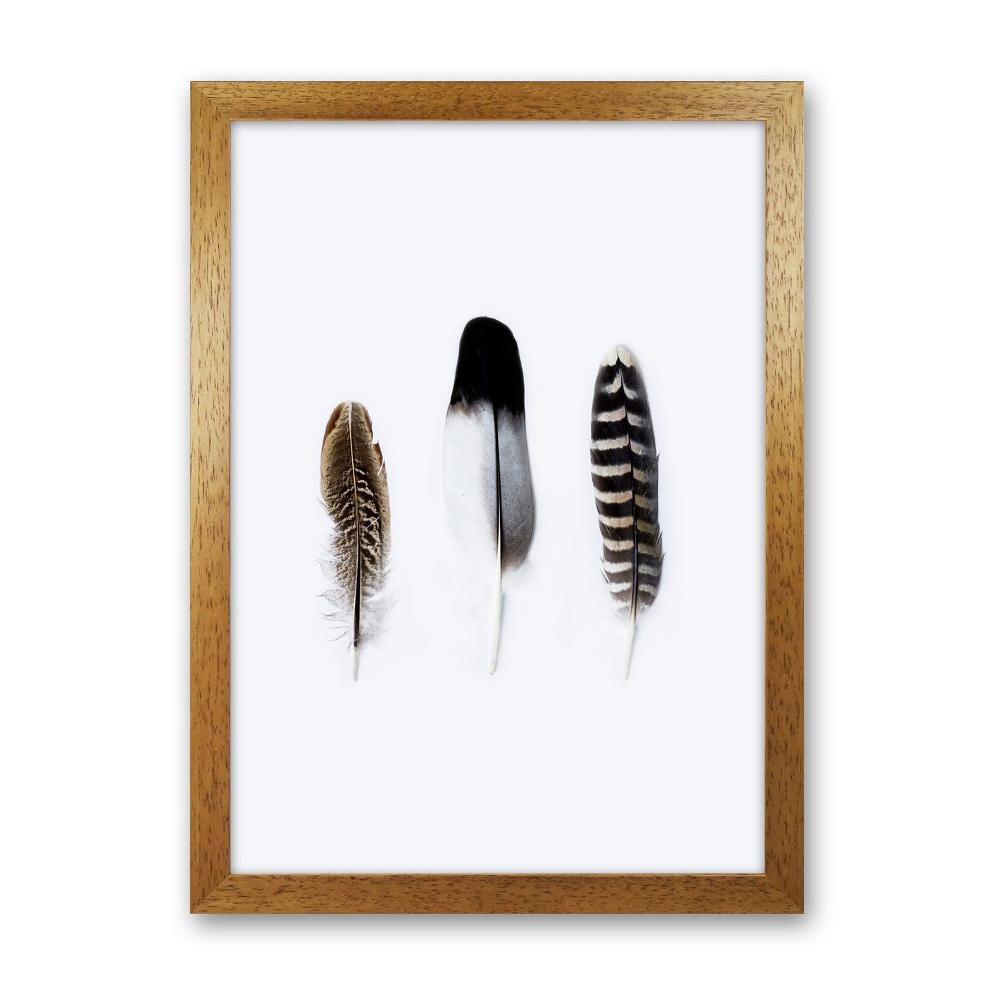 Spirits III Photography Print by Victoria Frost Oak Grain