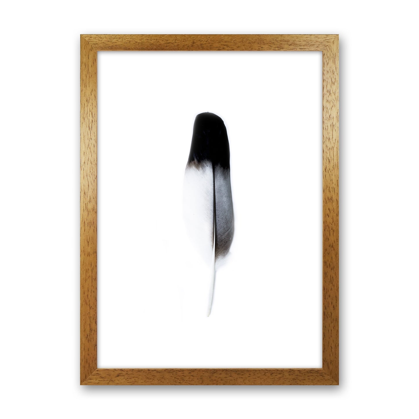 Spirit l Photography Print by Victoria Frost Oak Grain