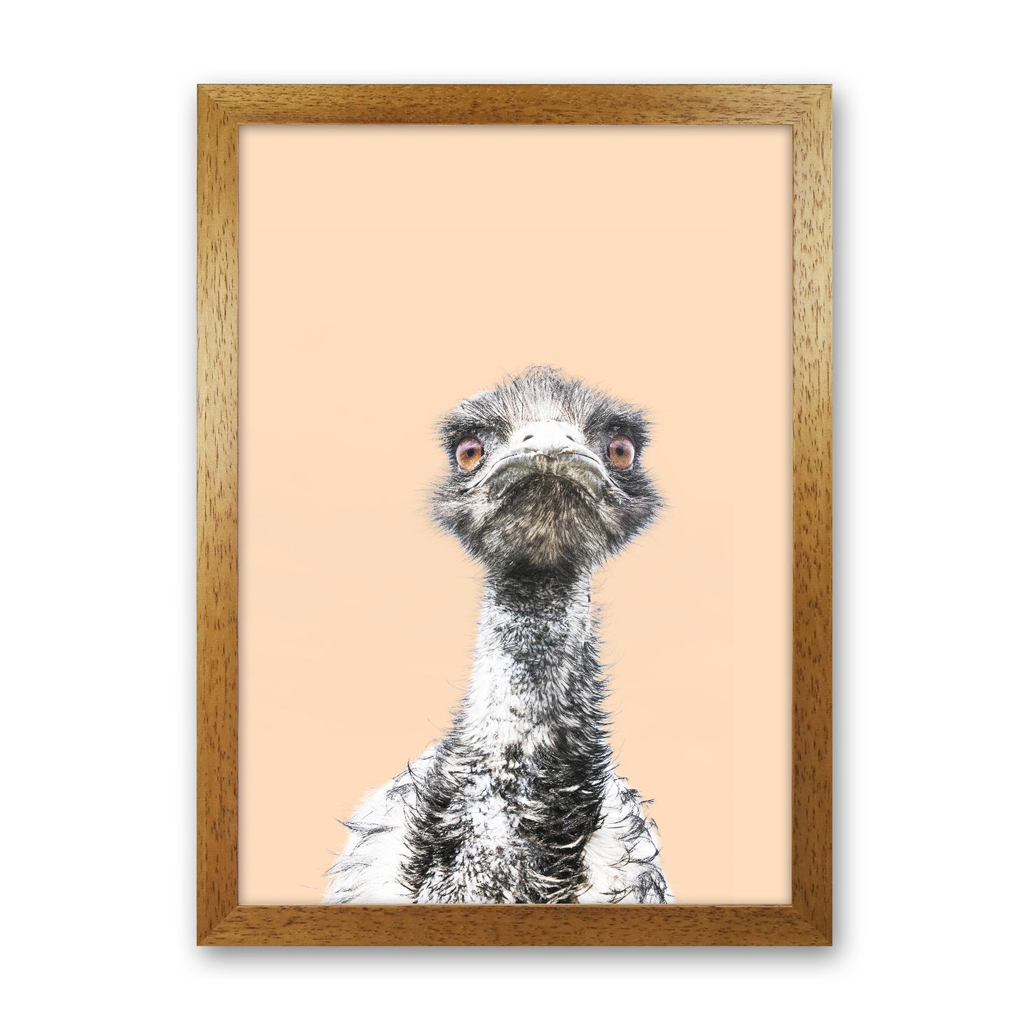 Orange Emu Photography Print by Victoria Frost Oak Grain