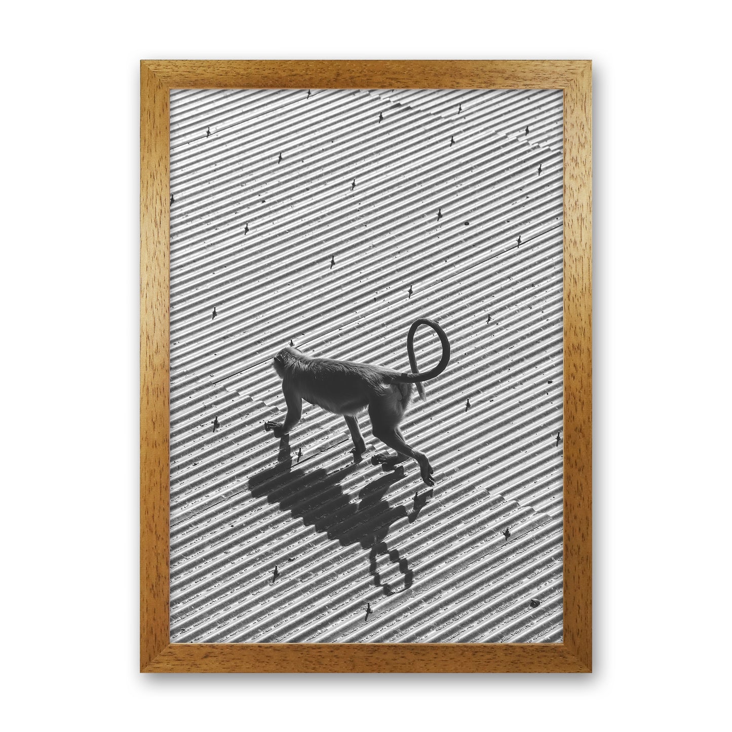 Monkey Buisness Photography Print by Victoria Frost Oak Grain