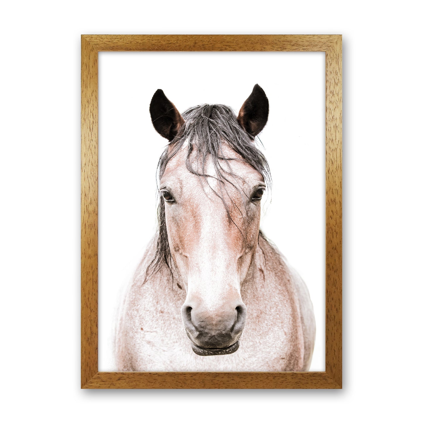 Horse Photography Print by Victoria Frost Oak Grain