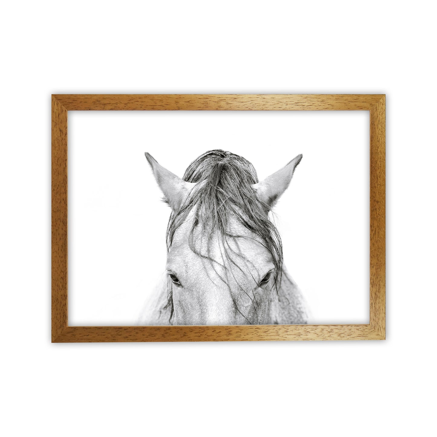 Horse II Photography Print by Victoria Frost Oak Grain