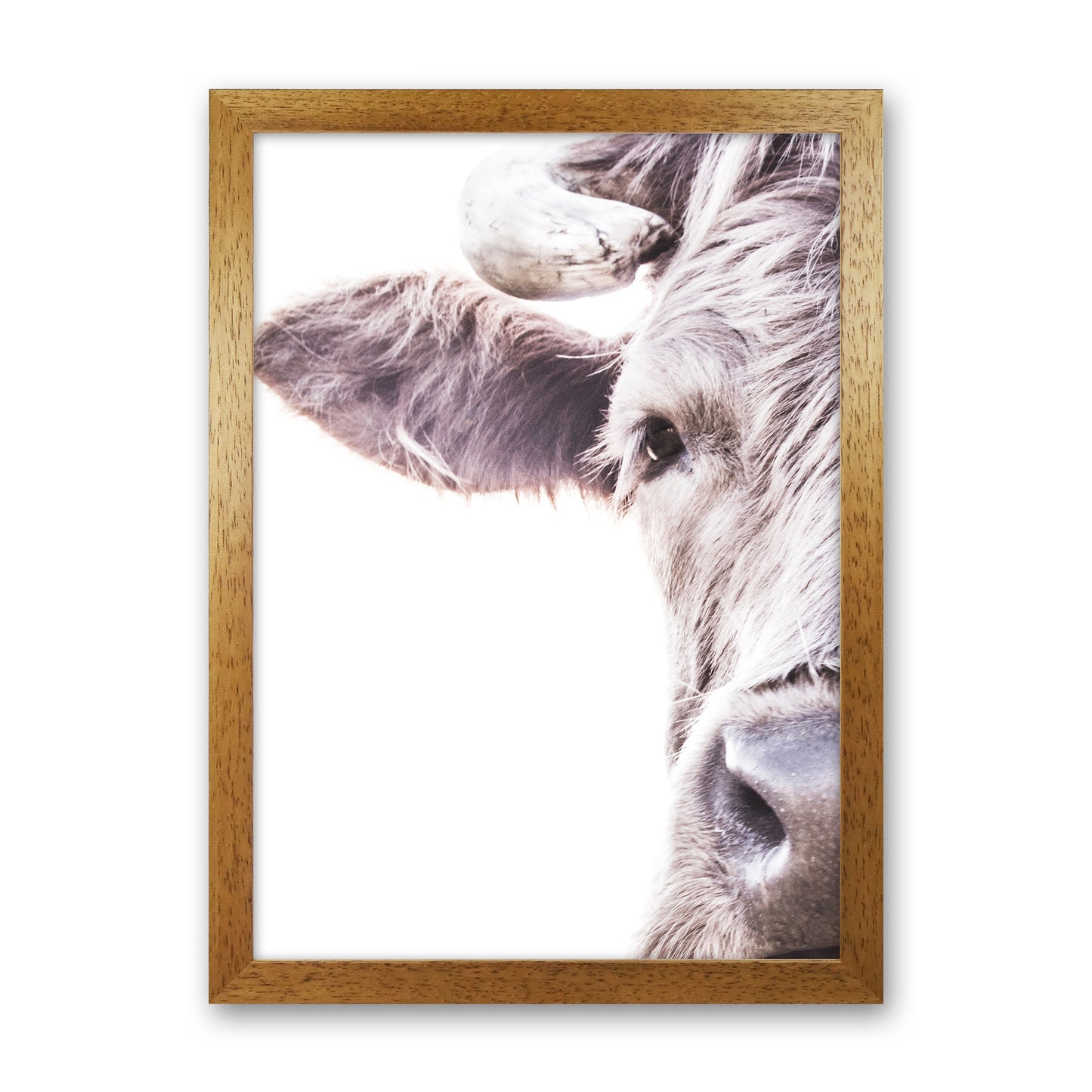 Highlander II Photography Print by Victoria Frost Oak Grain