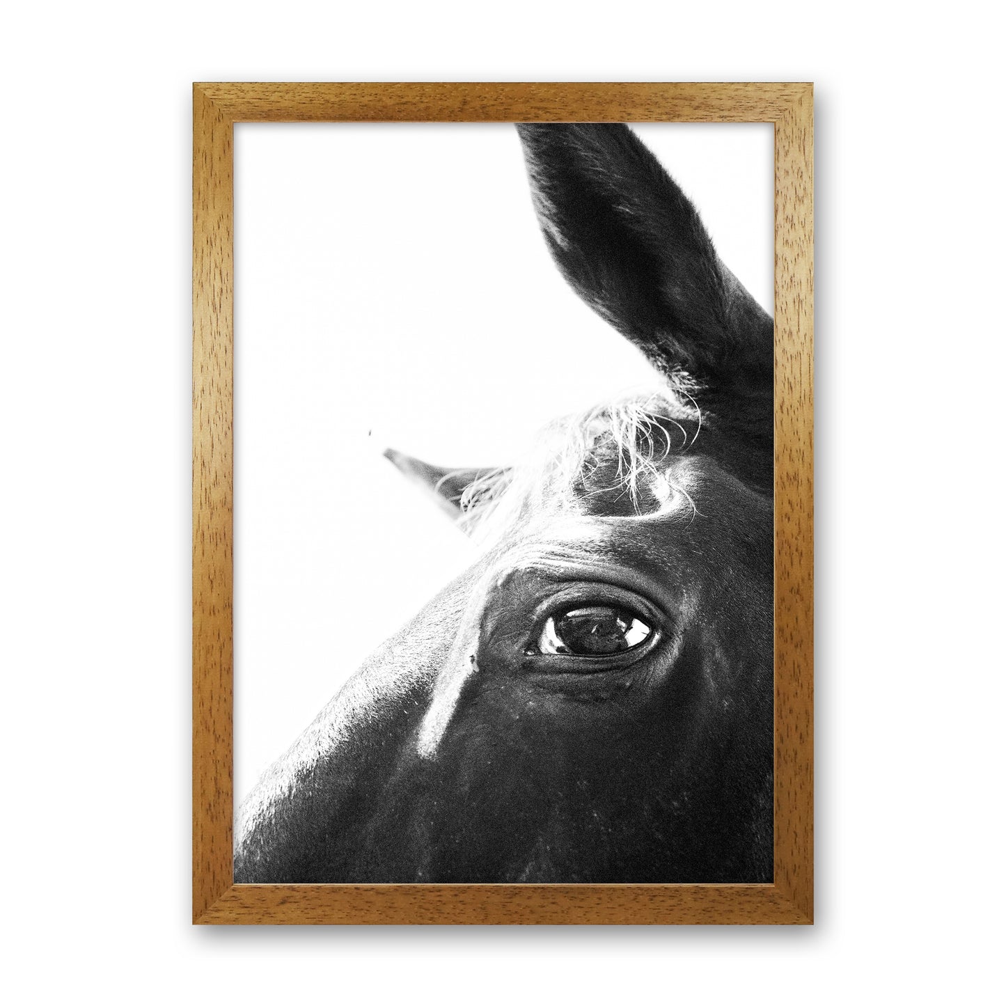 Eye of the beholder Photography Print by Victoria Frost Oak Grain
