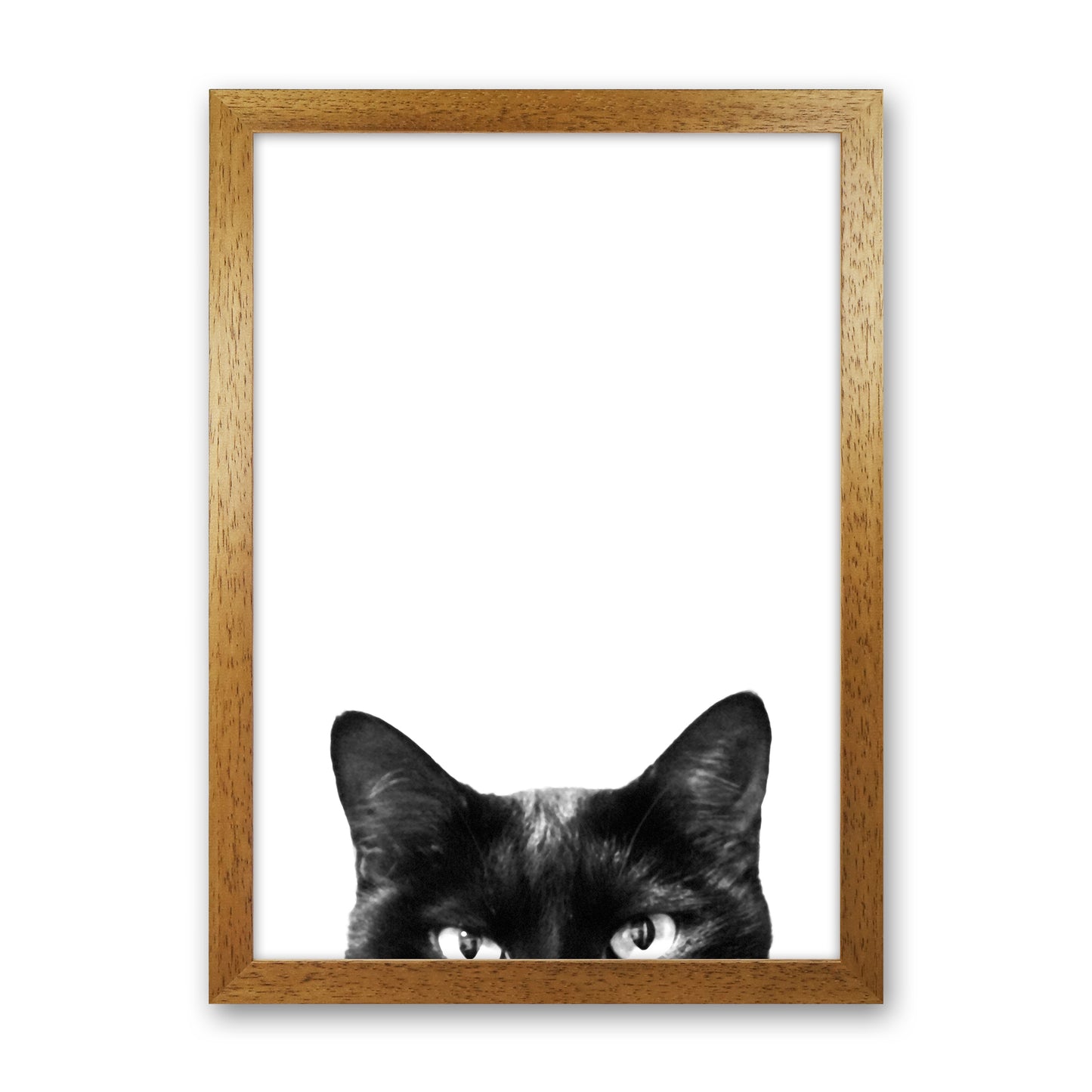 Black Cat Photography Print by Victoria Frost Oak Grain