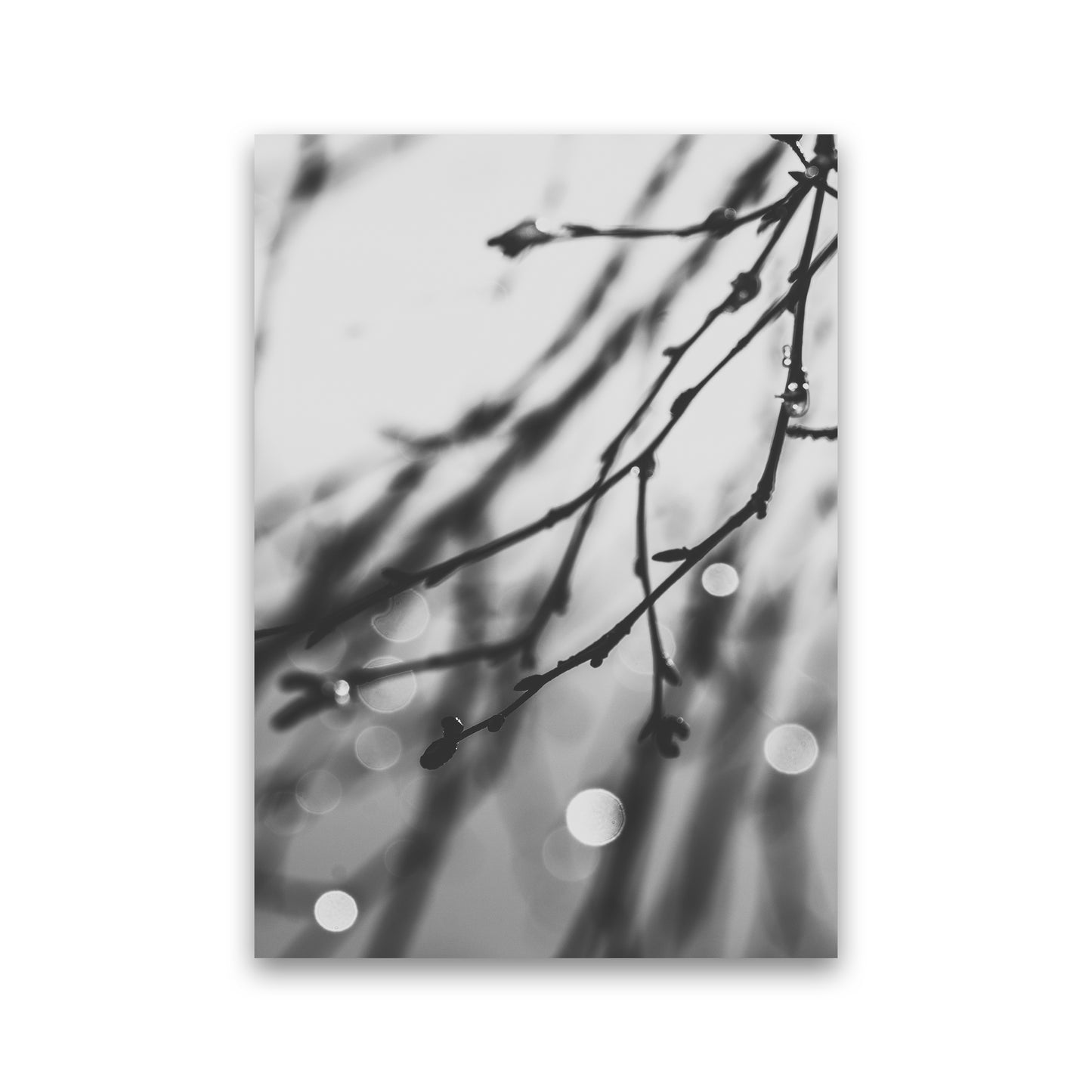 Twilight II Photography Print by Victoria Frost Print Only