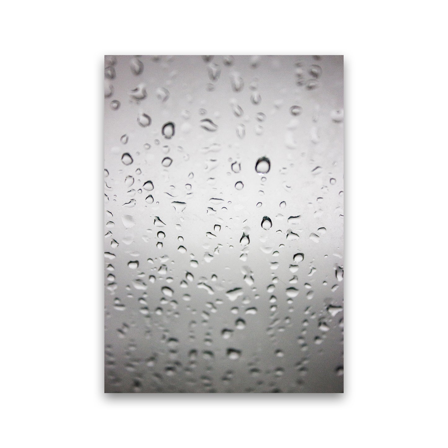 Touch of Rain Photography Print by Victoria Frost Print Only