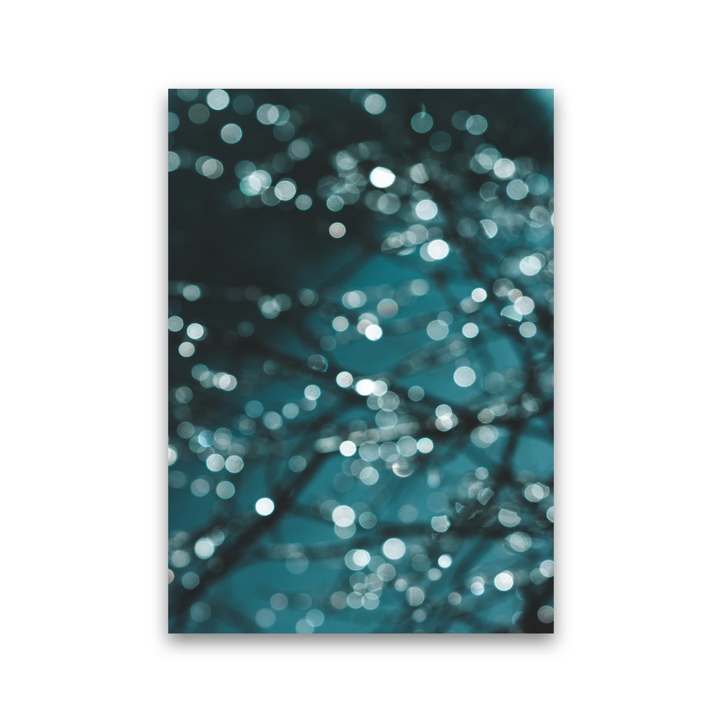 Midnight Sparkle Photography Print by Victoria Frost Print Only