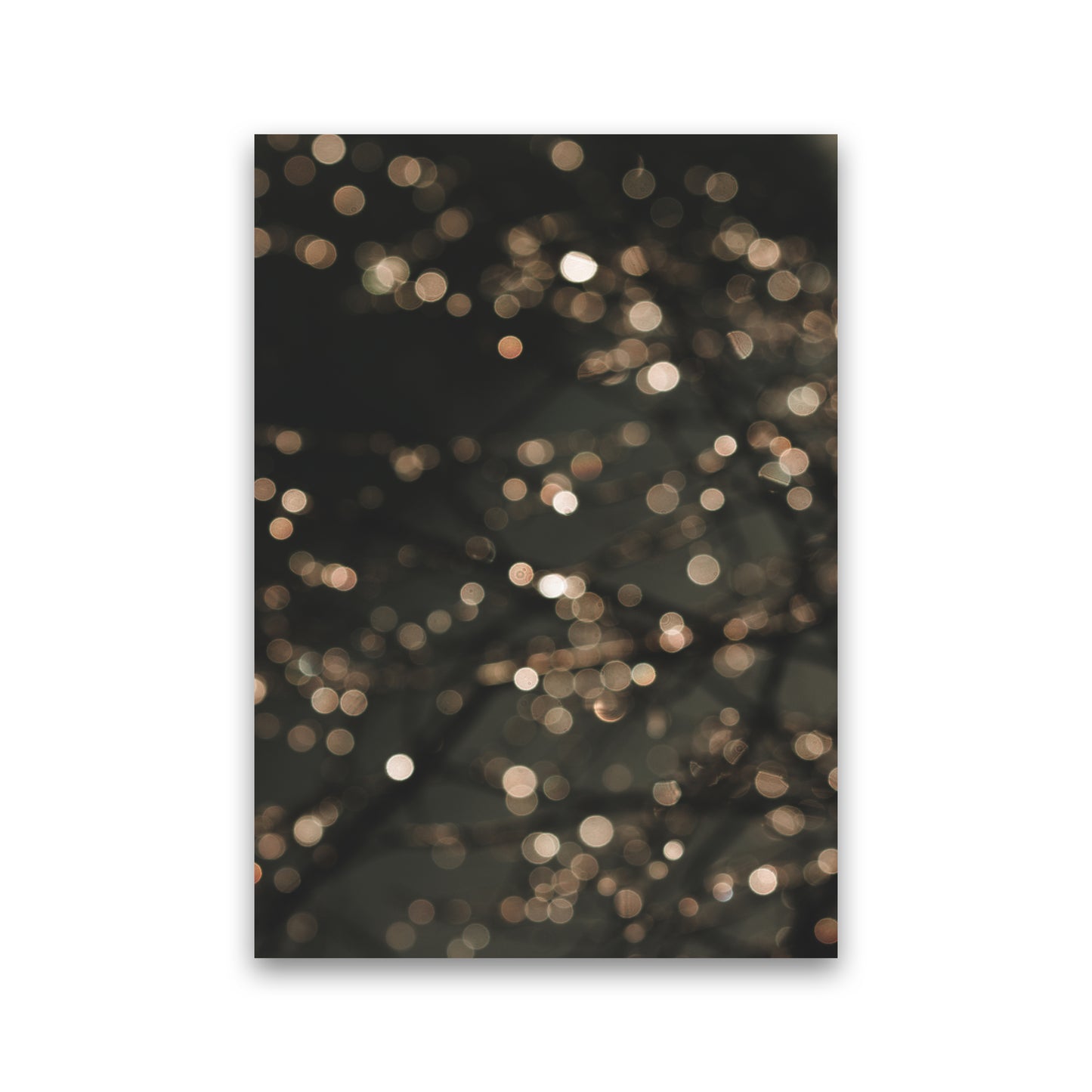 Midnight Glow Photography Print by Victoria Frost Print Only