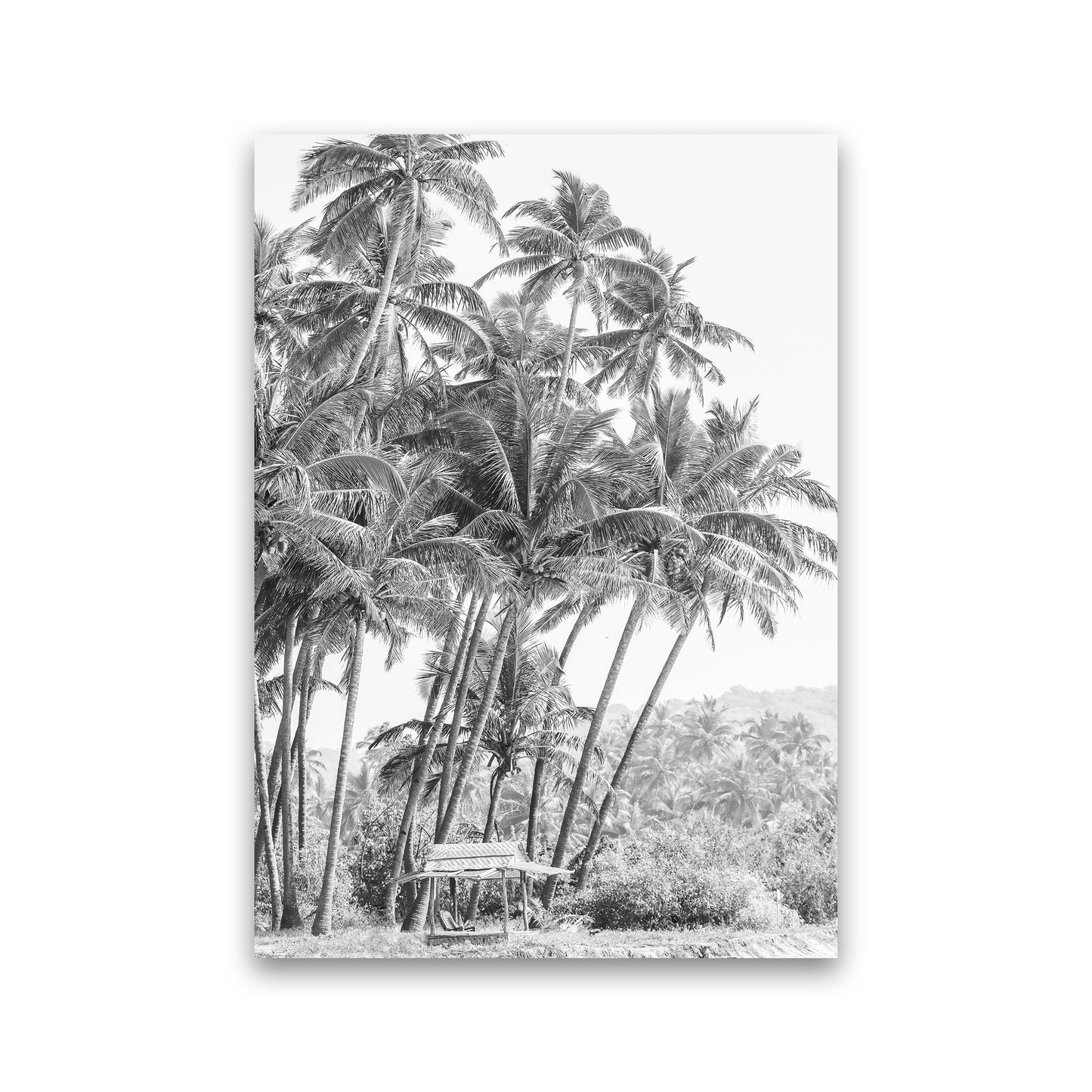 Jungle II Photography Print by Victoria Frost Print Only