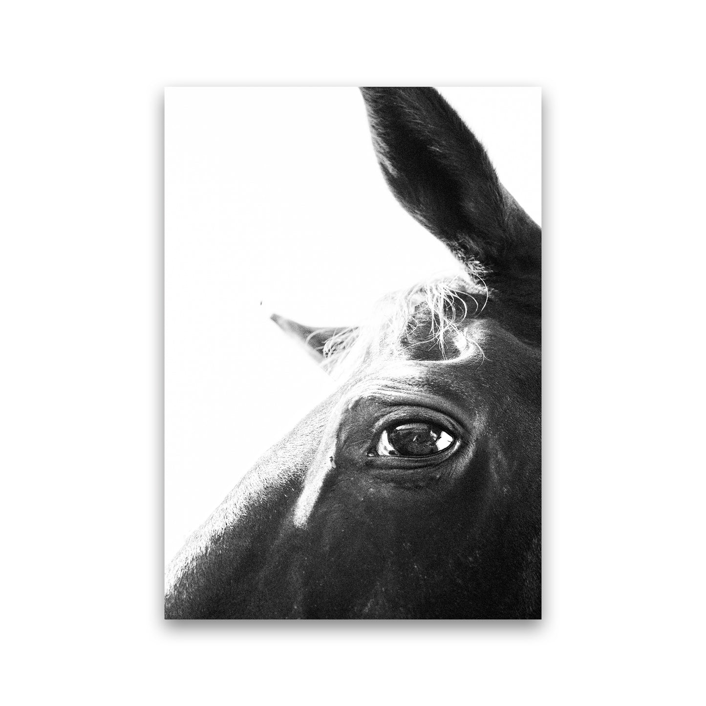 Eye of the beholder Photography Print by Victoria Frost Print Only